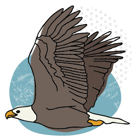 Illustrated bald eagle in a flowy style, overlaid on an organic blue oval shape.