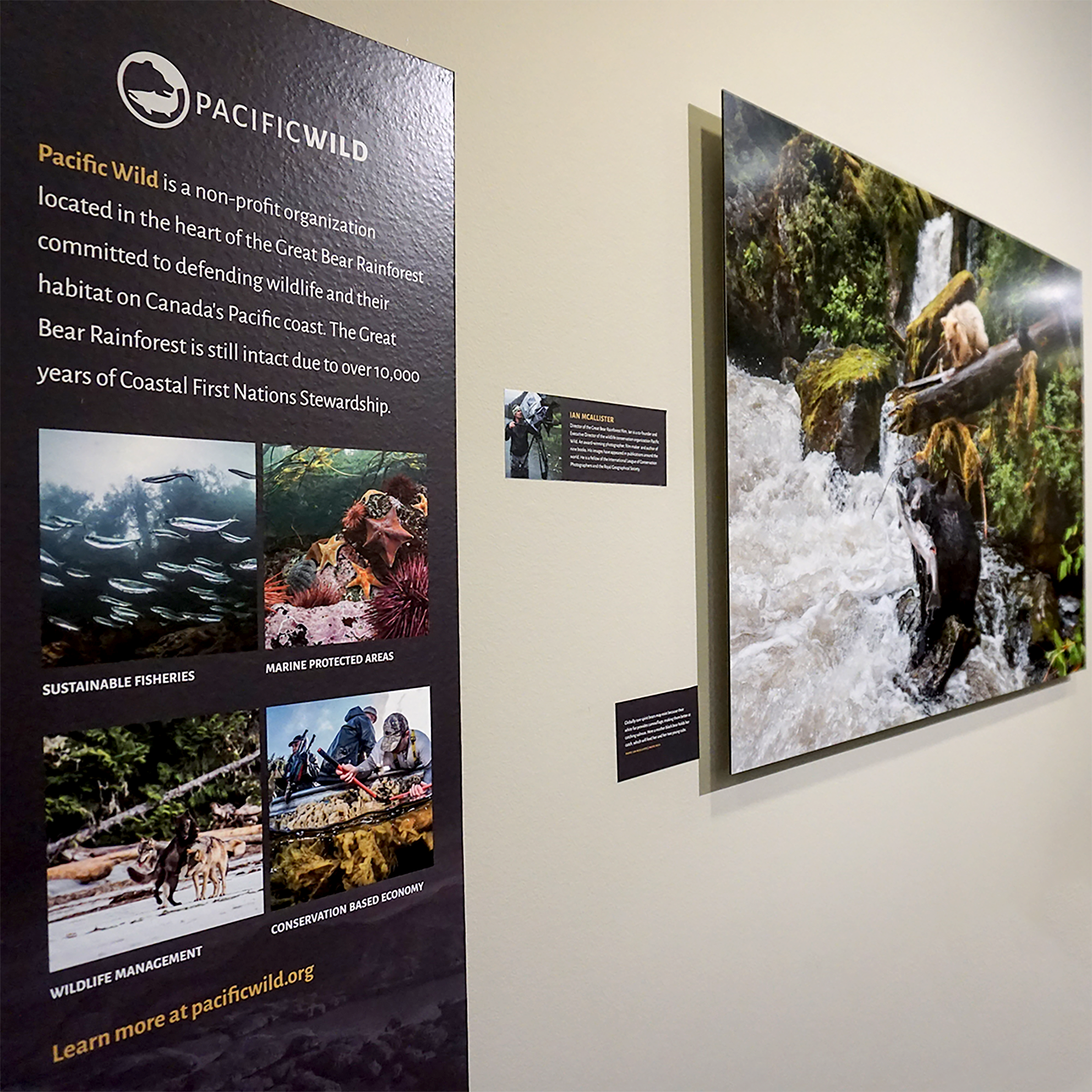 A vertical banner graphic describes Pacific Wild, featuring their logo and four nature photos highlighting their areas of work.