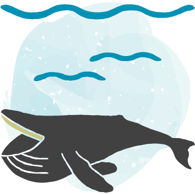 Deep feeding icon, with a grey humpback whale’s open mouth feeding deep in the ocean water. A blue watercolour blob is behind.