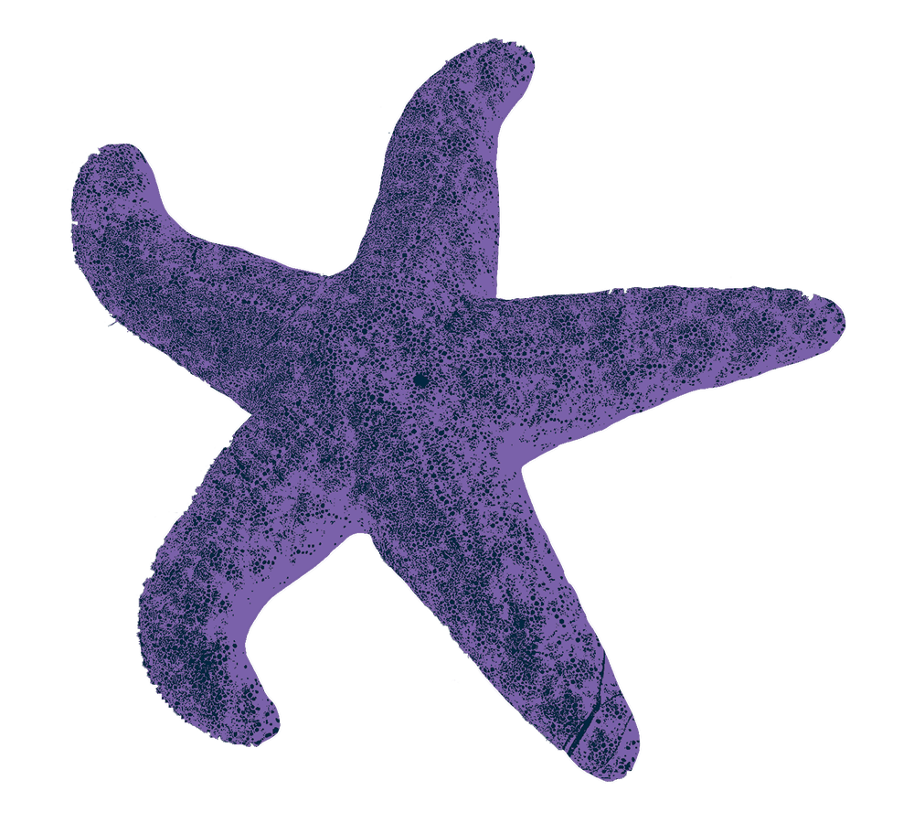 Distressed purple starfish illustration