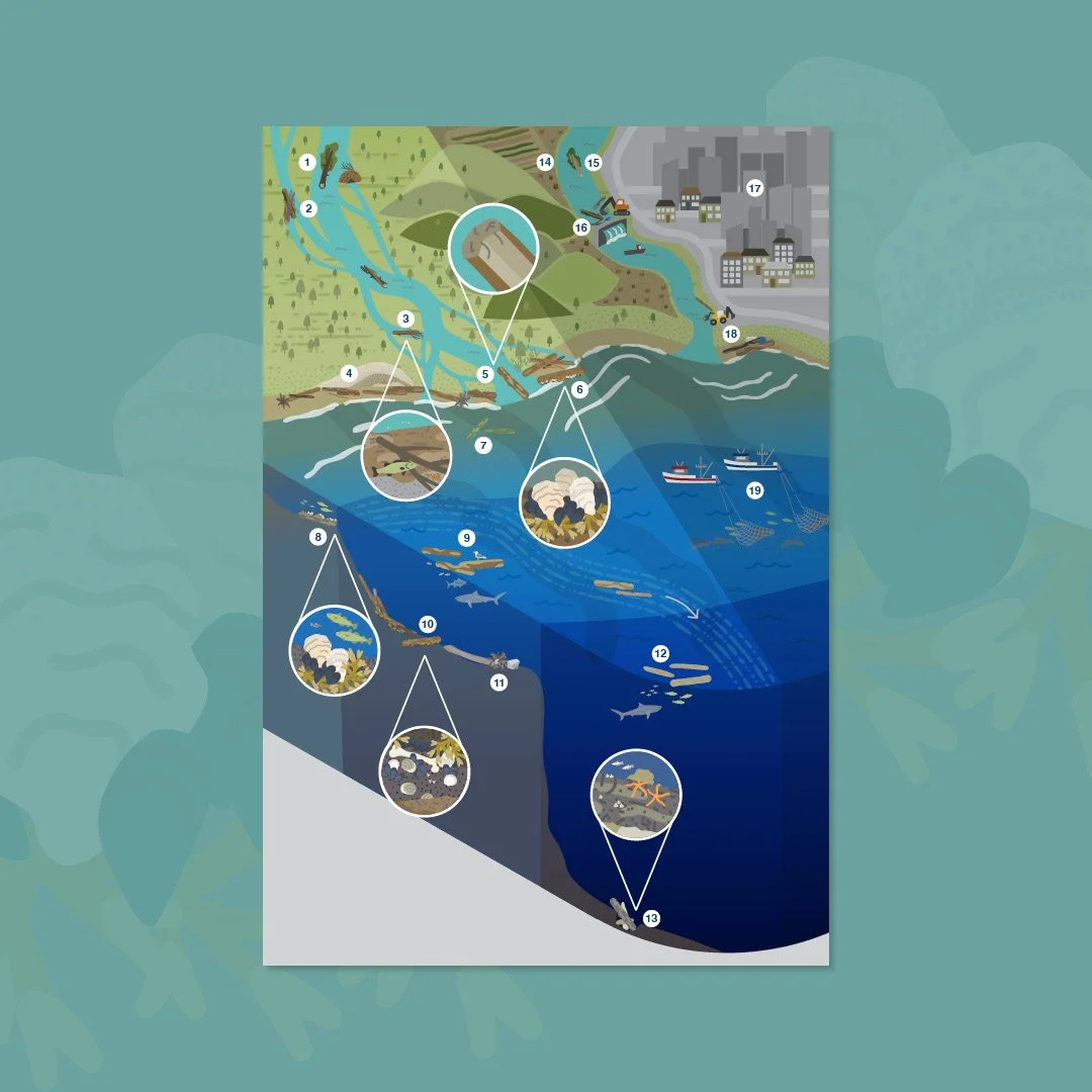 Wood to Sea Infographics