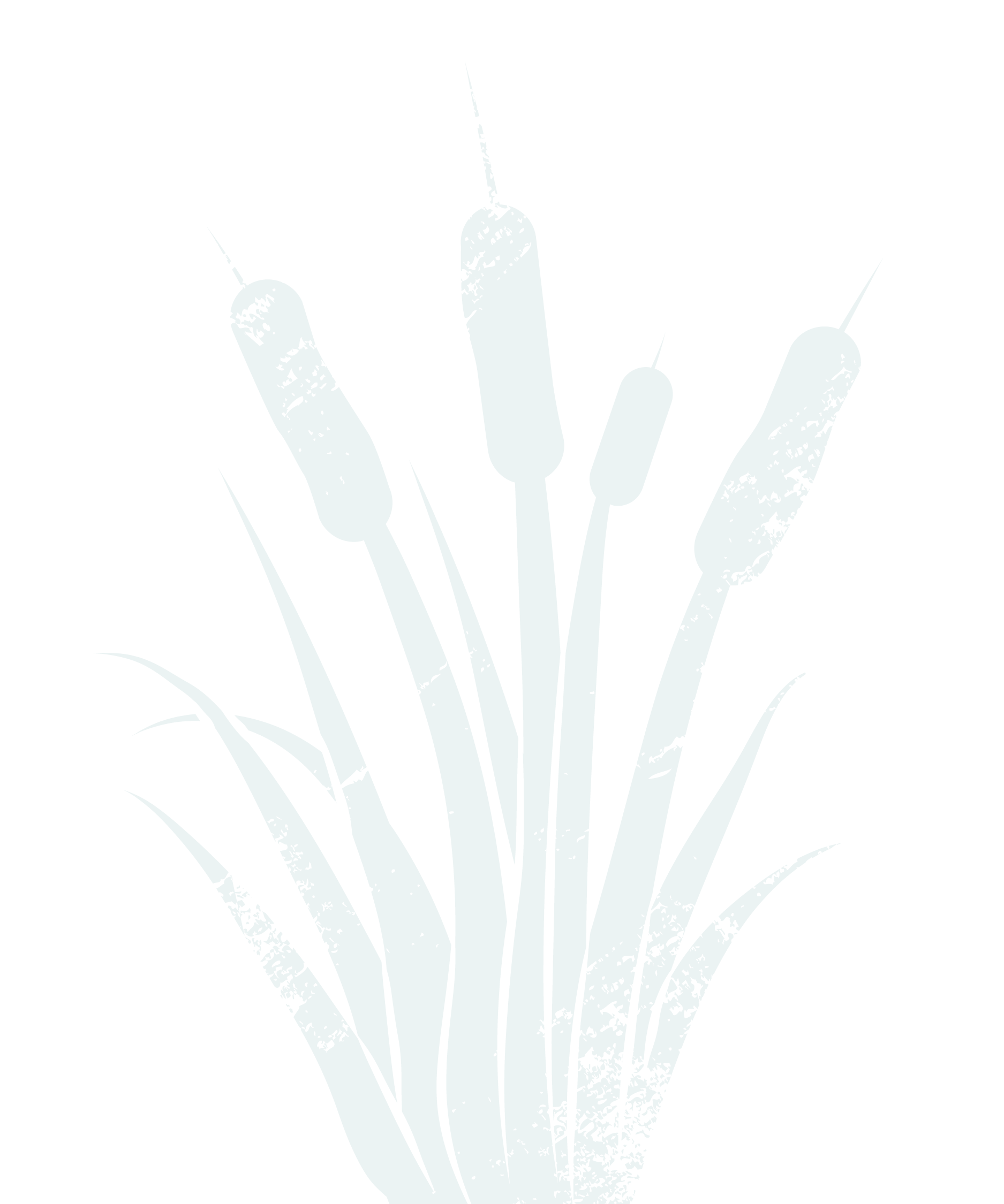 Organic, distressed cattail illustration in light blue