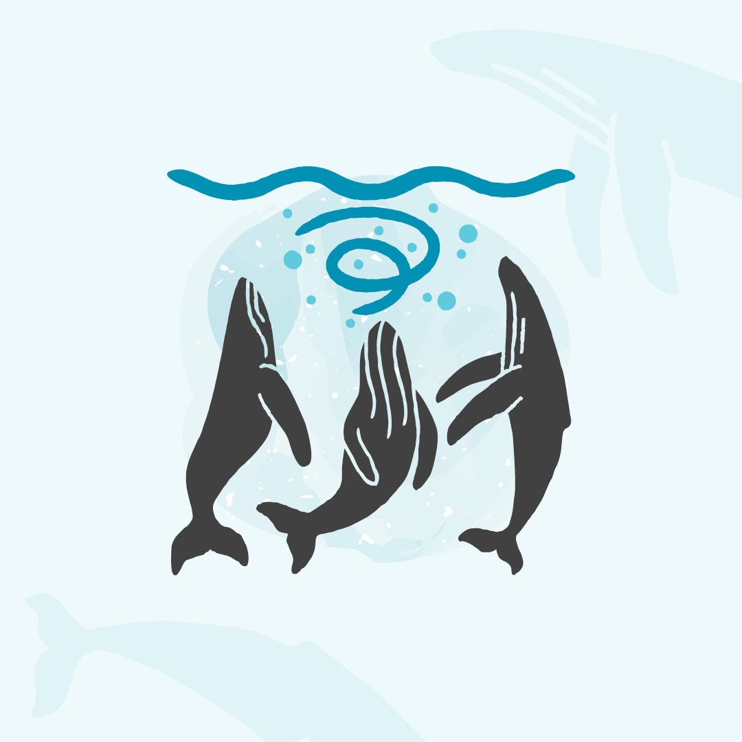 <strong>Ocean Wise: Humpback Whale Feeding Icons</strong></br>Icon Design