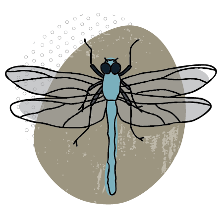 Flowy illustration of a light blue dragonfly on an organic brown blob background
