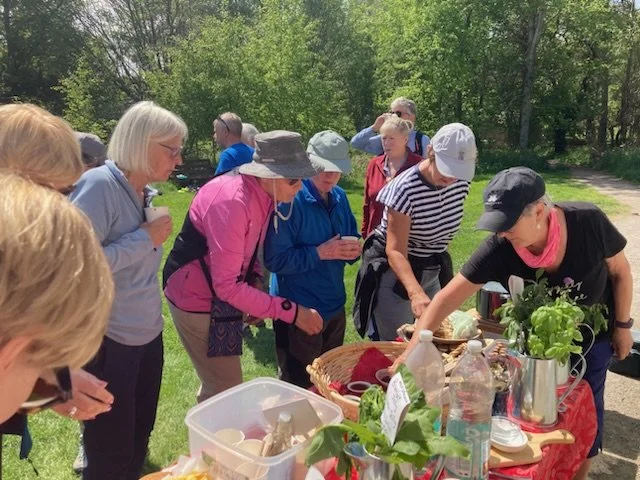 Tasting Foraged Foods.jpeg