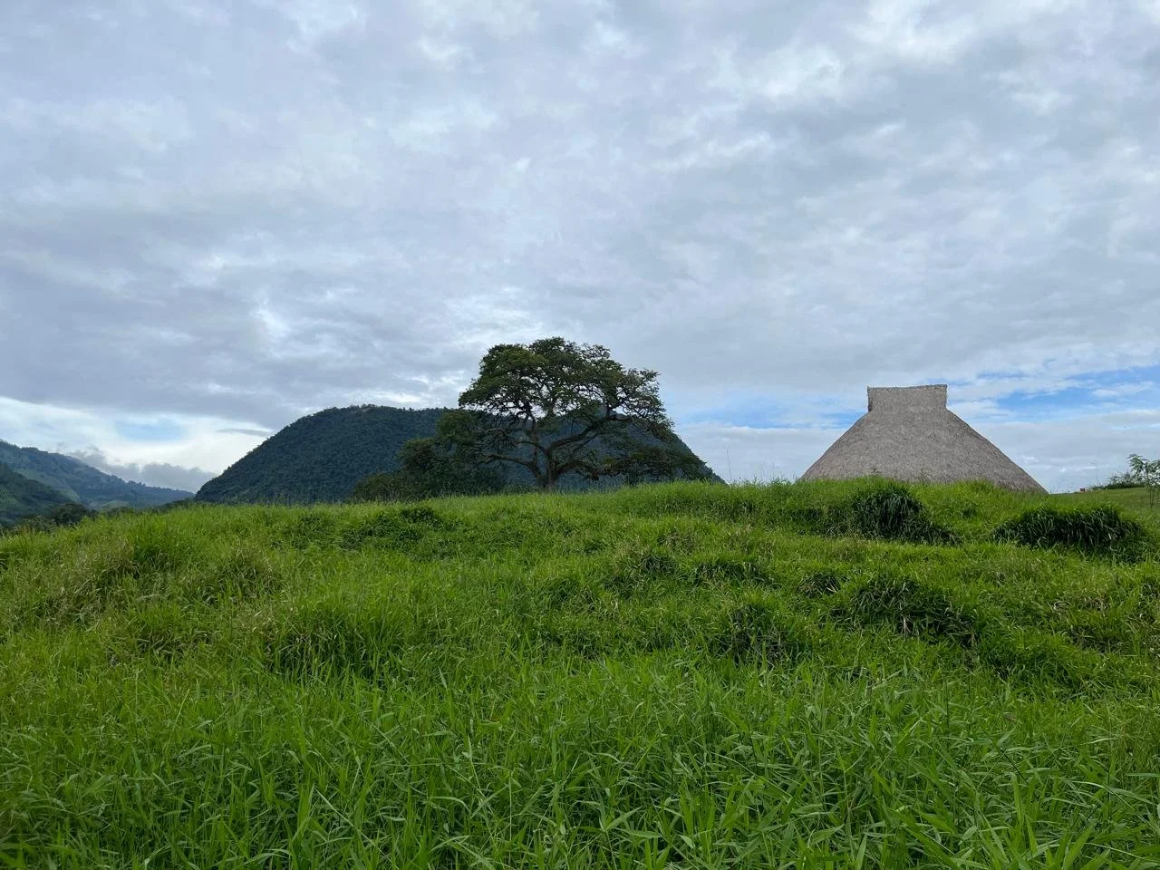 WhatsApp Image 2025-10-21 at 18.02.45.jpeg