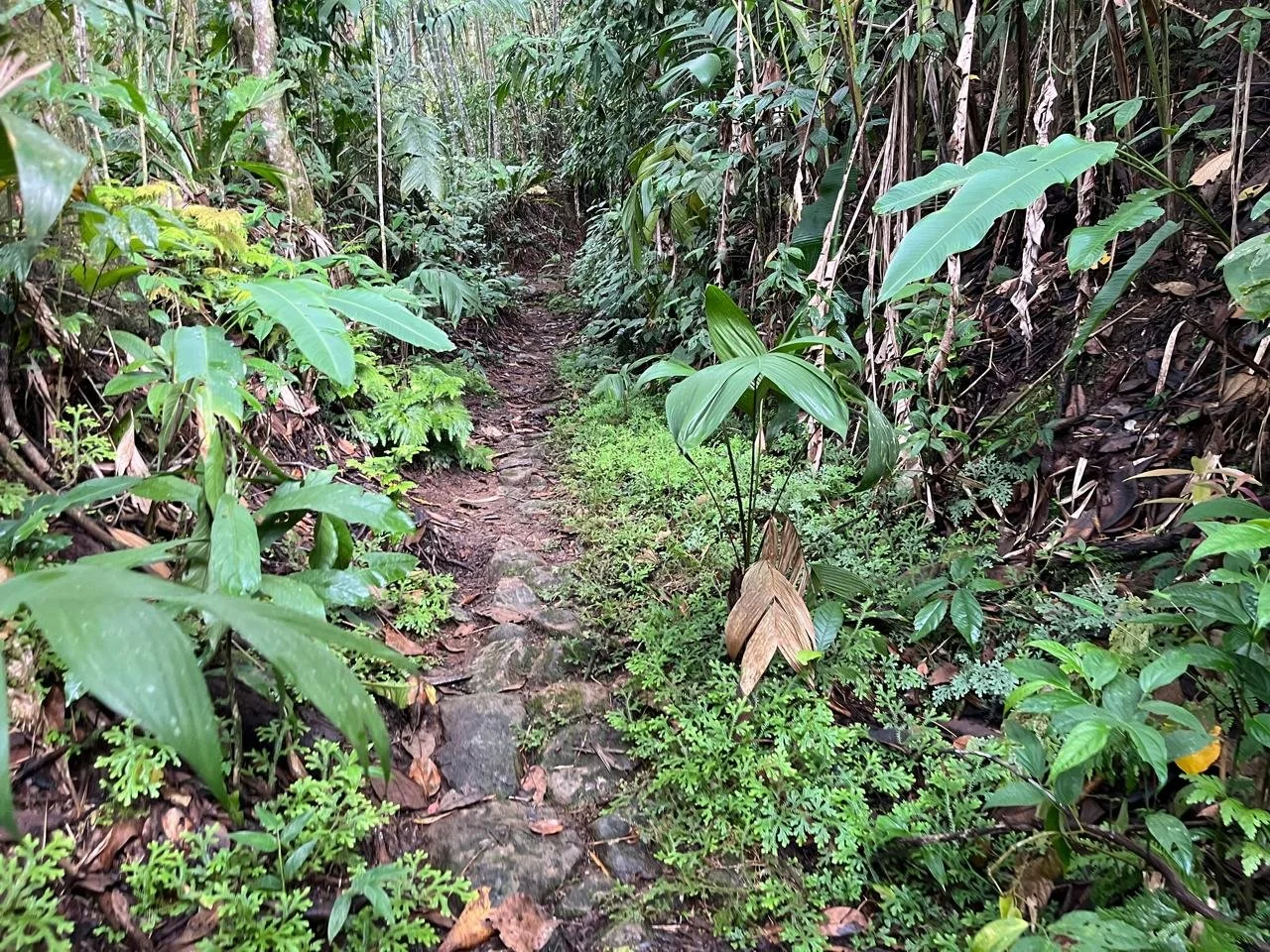 WhatsApp Image 2025-10-21 at 18.02.44 (4).jpeg