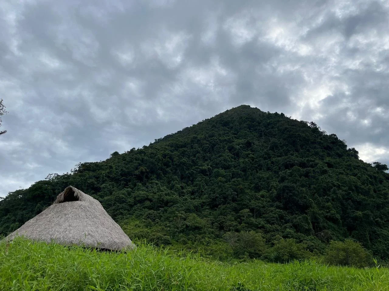 WhatsApp Image 2025-10-21 at 18.02.44 (8).jpeg