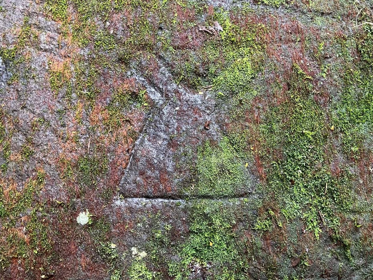 WhatsApp Image 2025-10-21 at 18.02.45 (4).jpeg