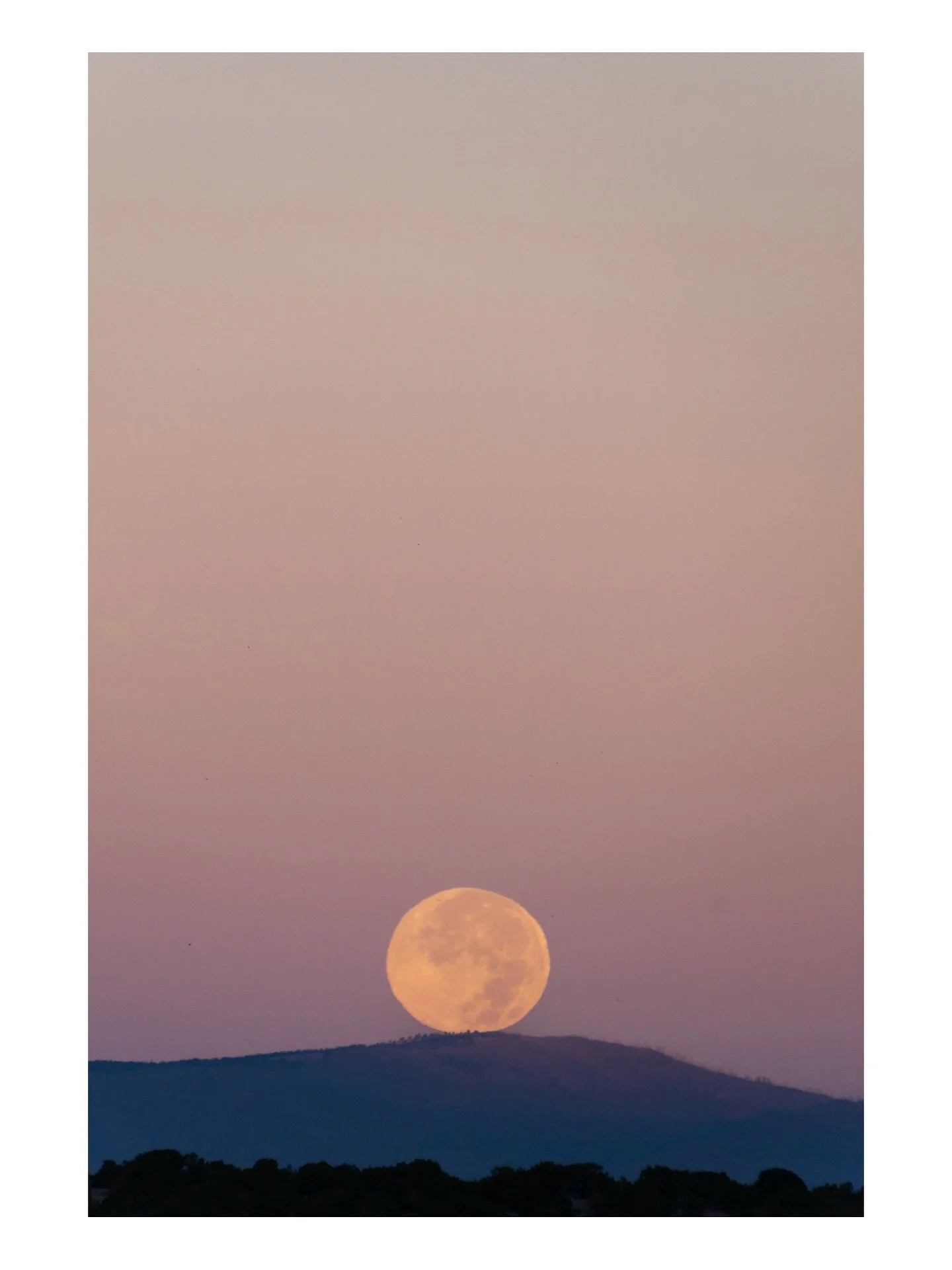 Topophilia and Full Beaver Moon set over the Jemez Mountains in Santa Fe NM.
@nomadicsonglines #federicochieli #toptravelspot #fchieli