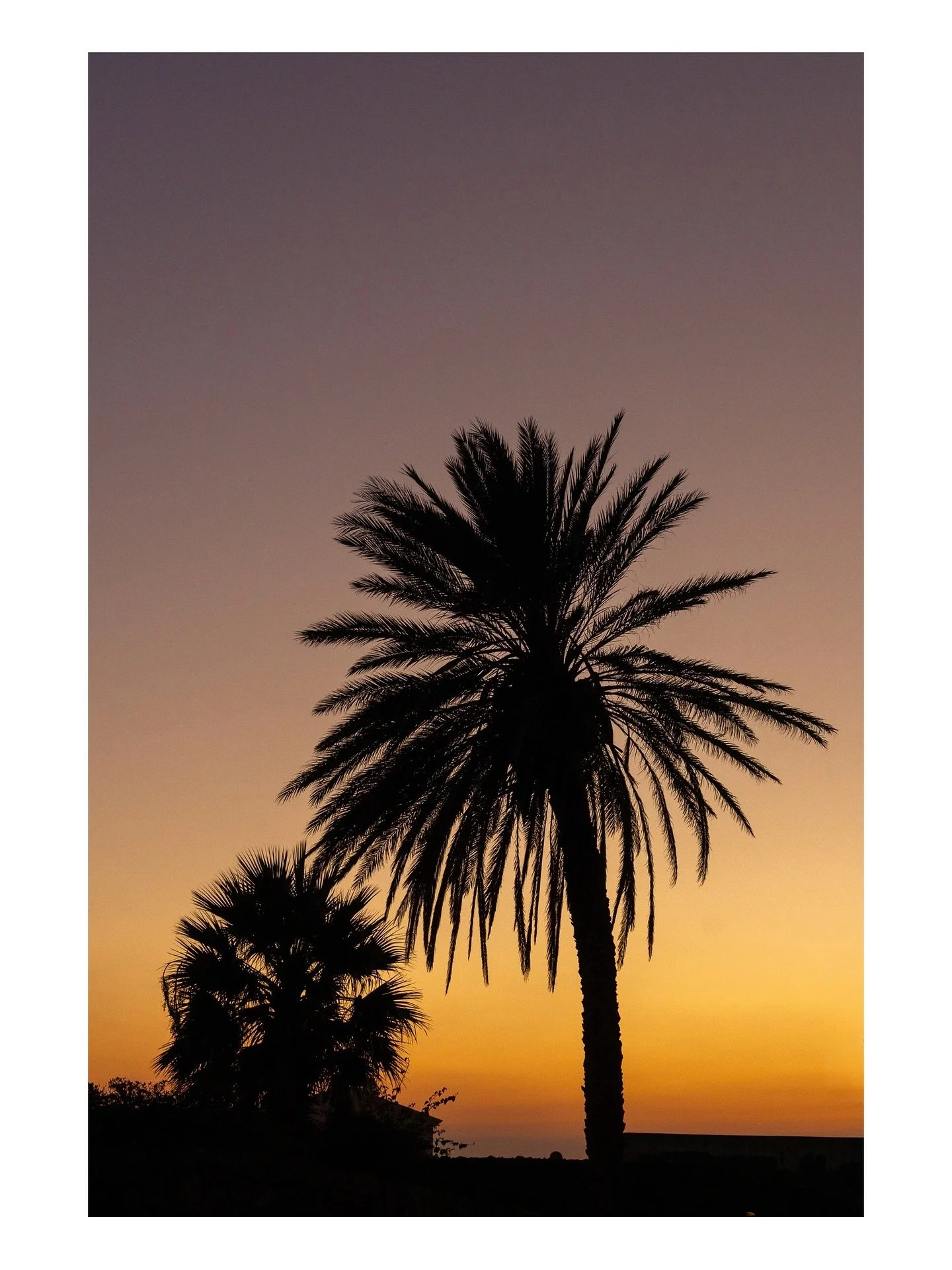 Pantelleria
.
.
.
.
.
.
.
#pantelleria #dammusi #sunset #palmtrees #balatadeiturchi #sikelia #archeology #sicilia #sicily #vulcanic #blackstone #mediterraneo #maestrale #travelphotography #sardegna #italy #italia #travellover  #summerinitaly #italian