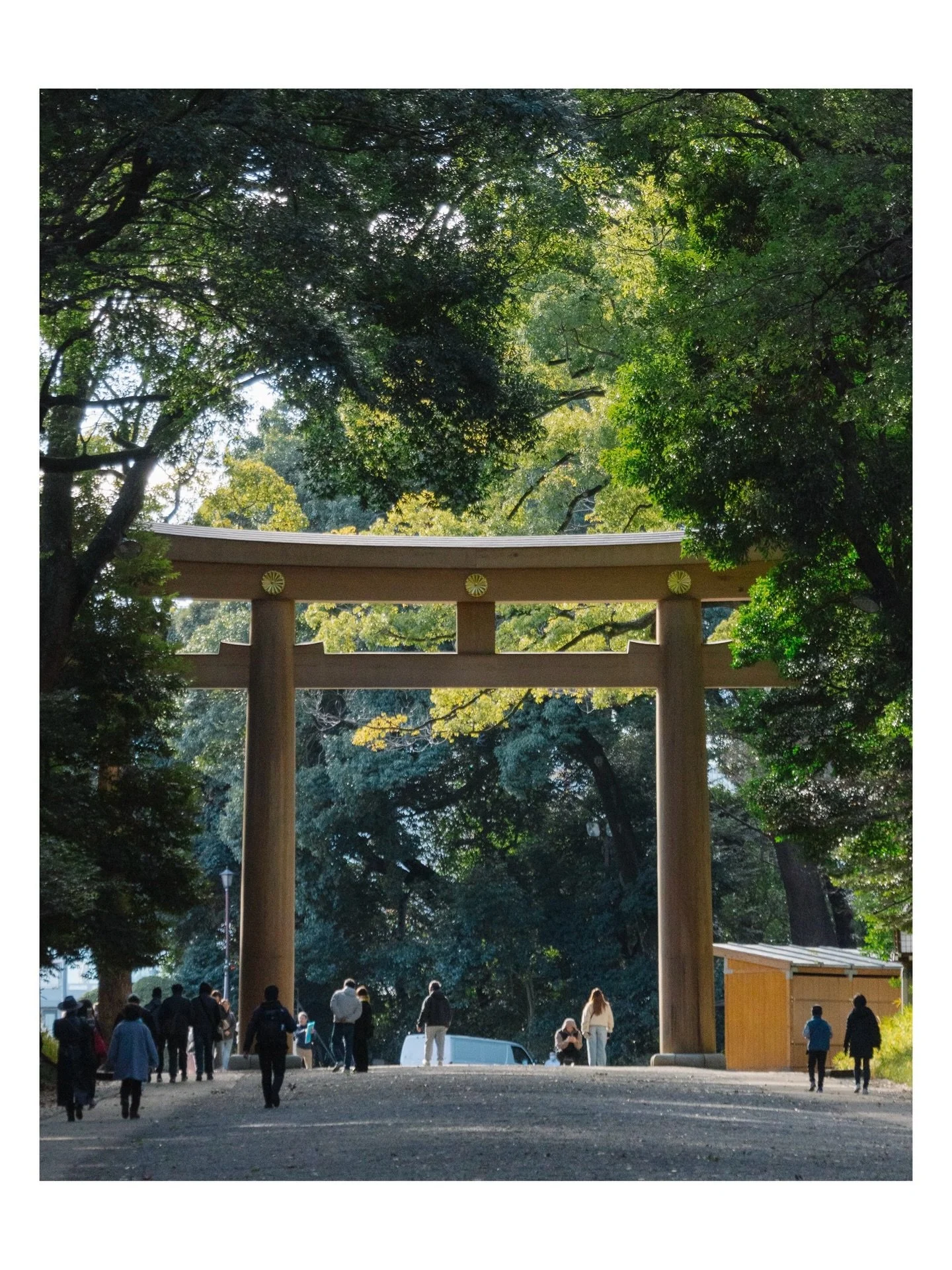Meiji Jingu, Tokyo. @nomadicsonglines
.
.
.
.
.

#landscapelover #tokyo #japan #meijijingu #winterinjapan #green #shinto #shintoshrine #MeijiShrine #TokyoShrines #ShintoJapan #TokyoGreen #SacredTokyo #JapanSpiritual #landscapephotography #toptravelsp