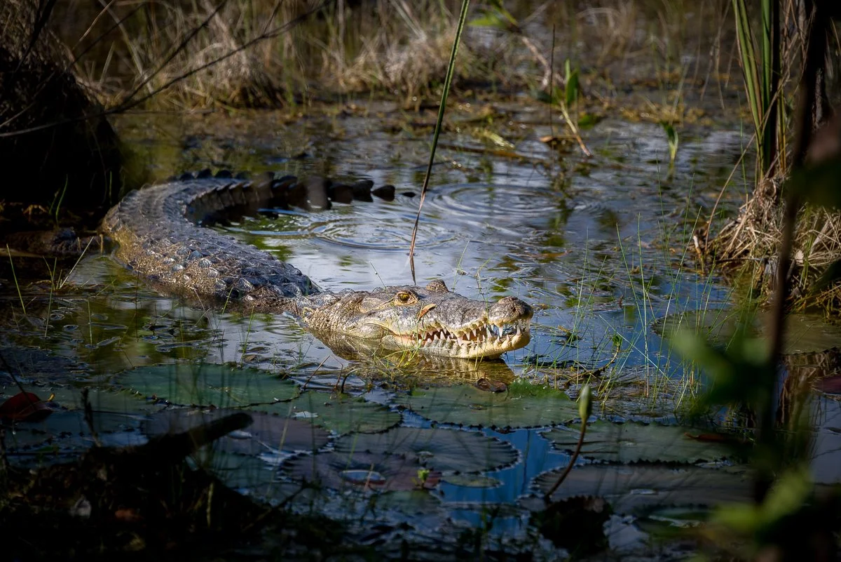 2013-12-31 Bacalar-011.jpg