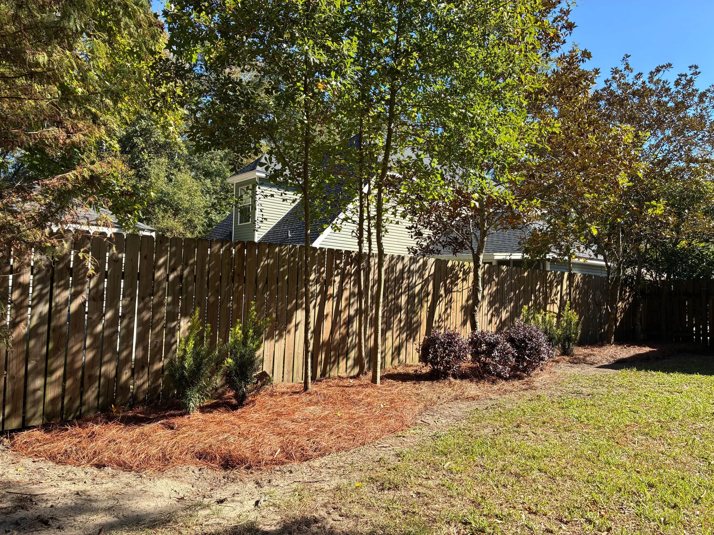 lawncleanup11.jpg