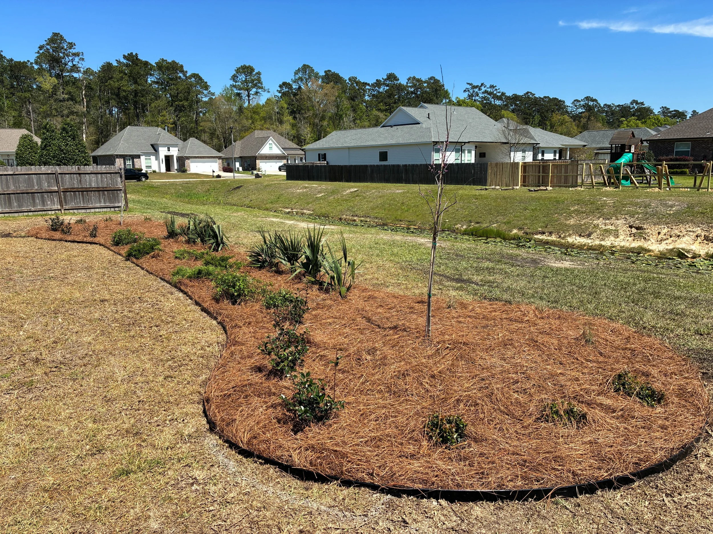 at ground level view of the dog bone shaped bed