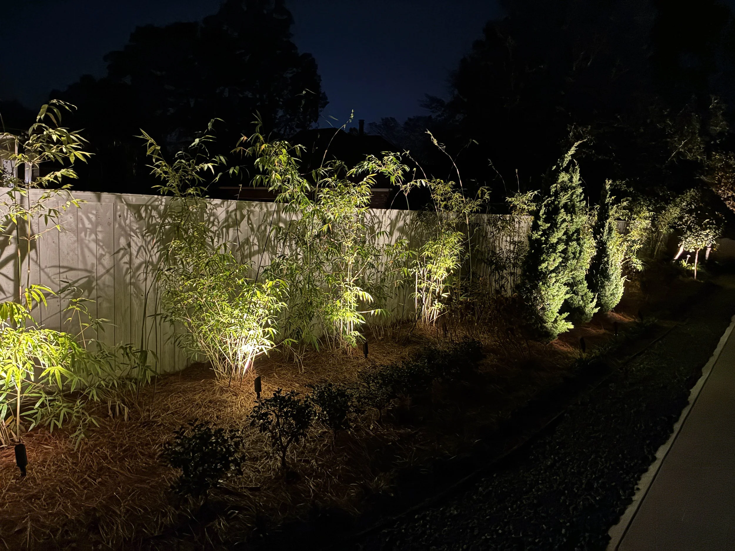 night picture with bamboo lining a fence. light on each bamboo