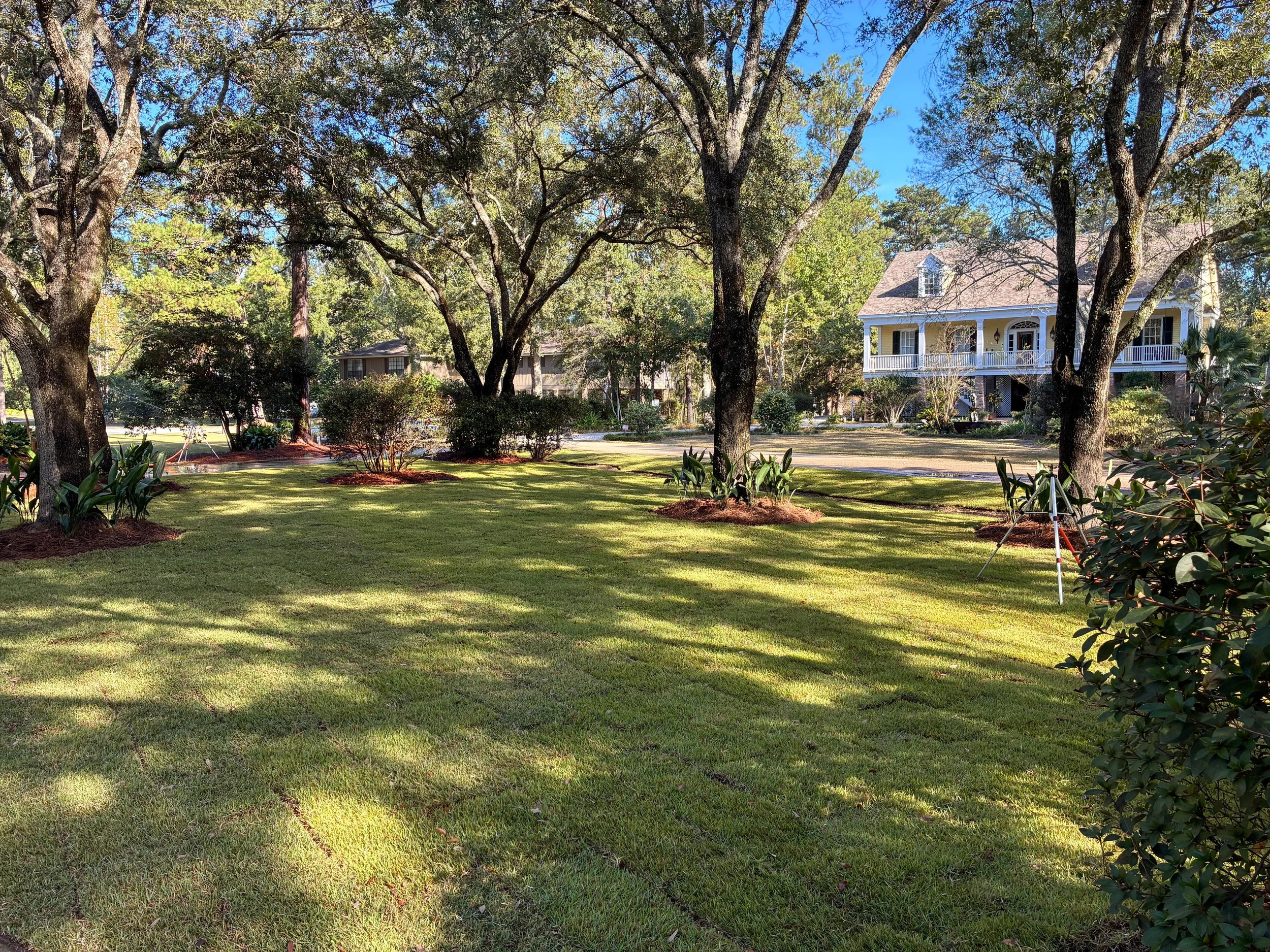 lush, green sod install