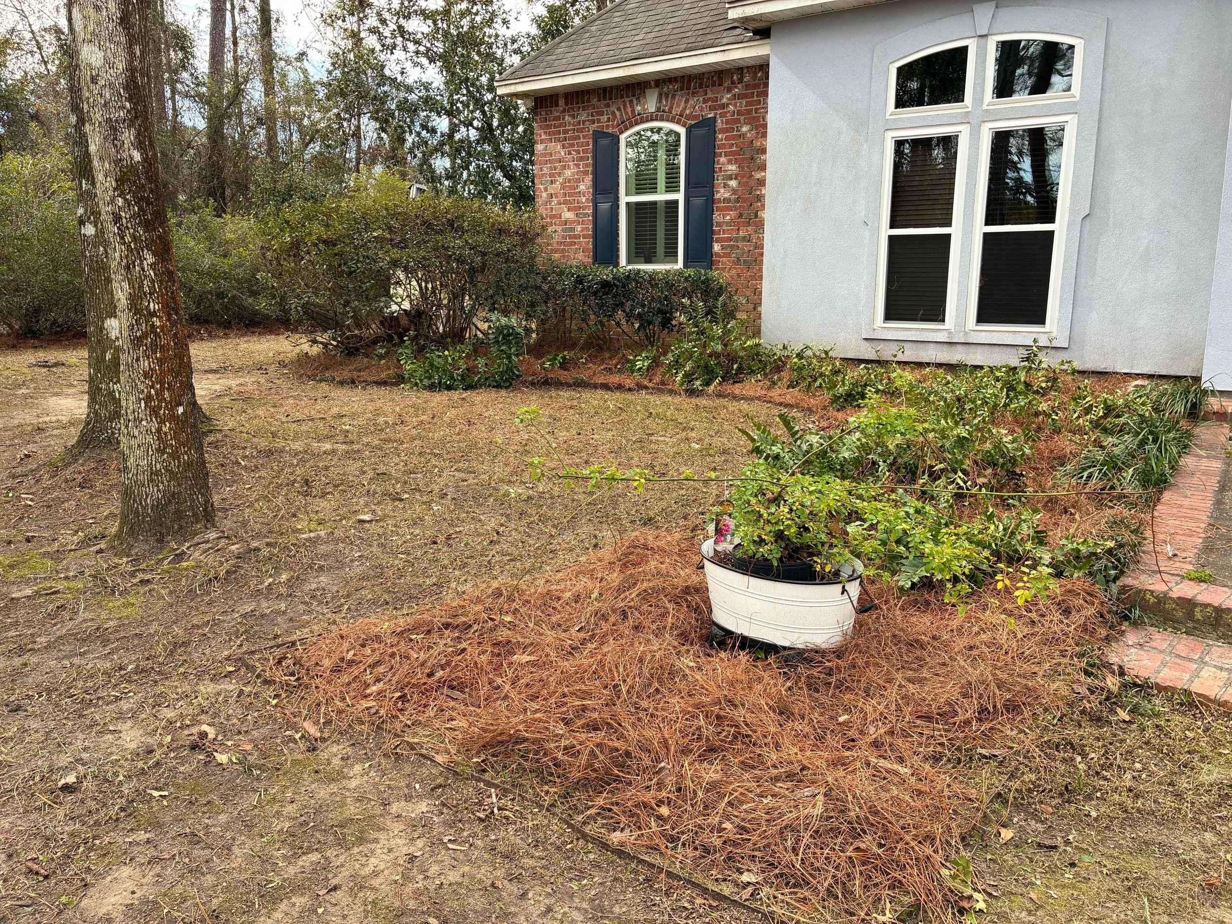 lawncleanup13.jpg