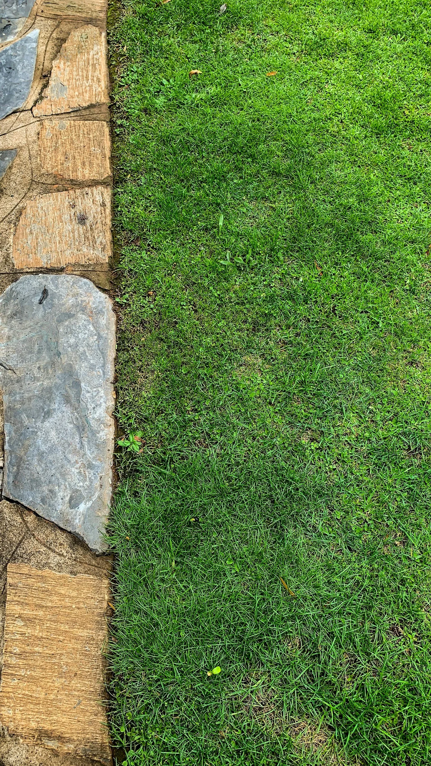 Why Lawn Edging Makes Such a Big Difference