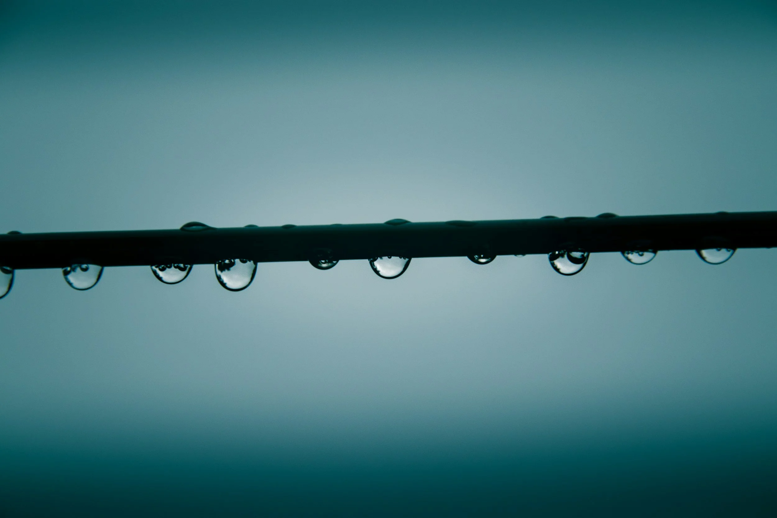 Drip Irrigation Explained: Is It Right for Your Landscape?