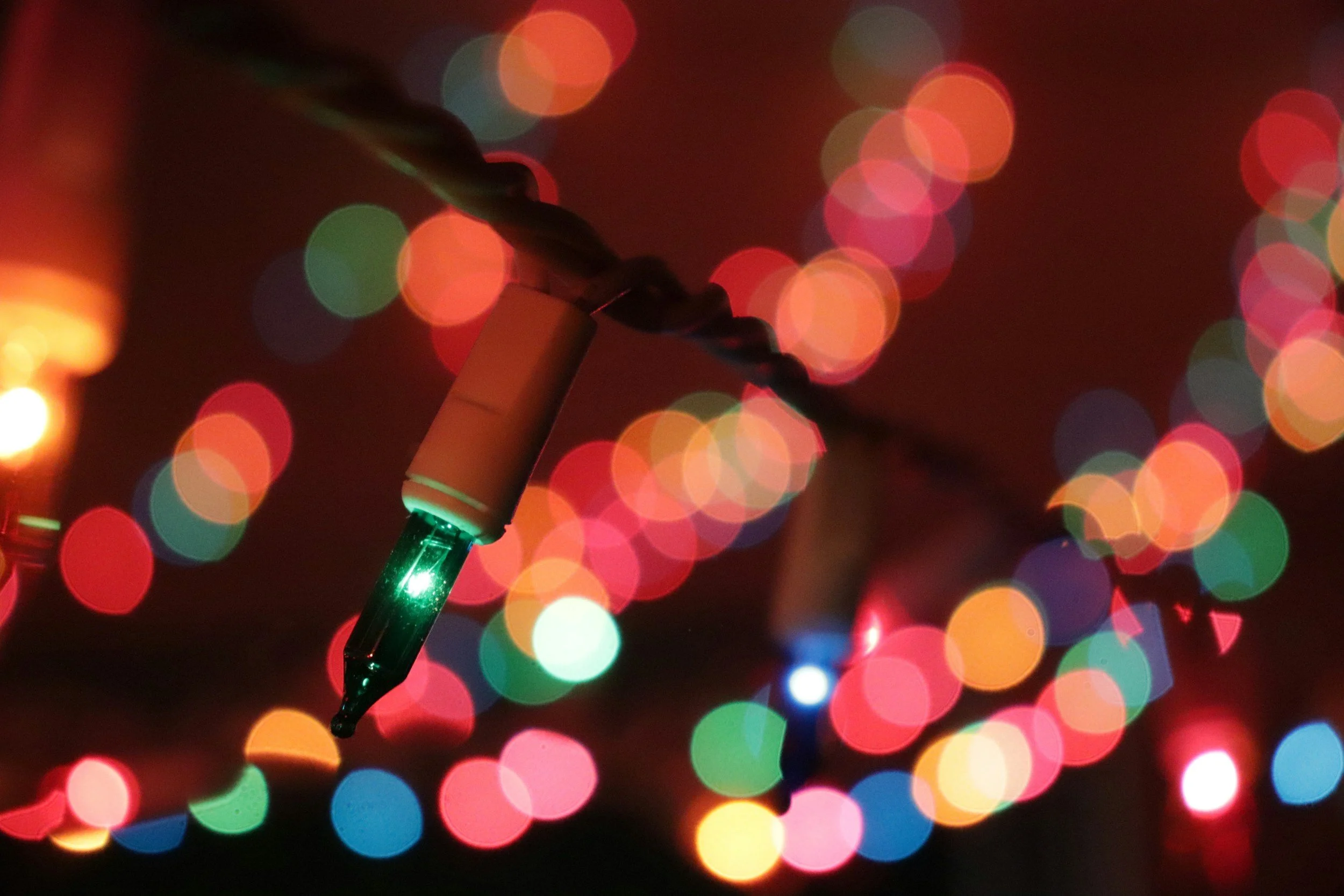 closeup holiday lights