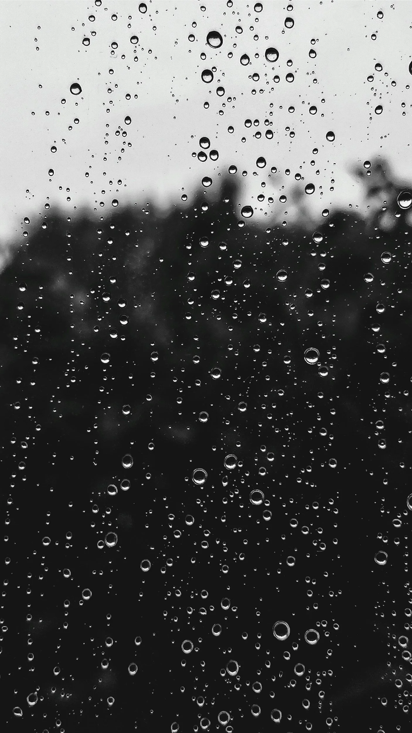 Rain Sensors: Do They Really Save Water?