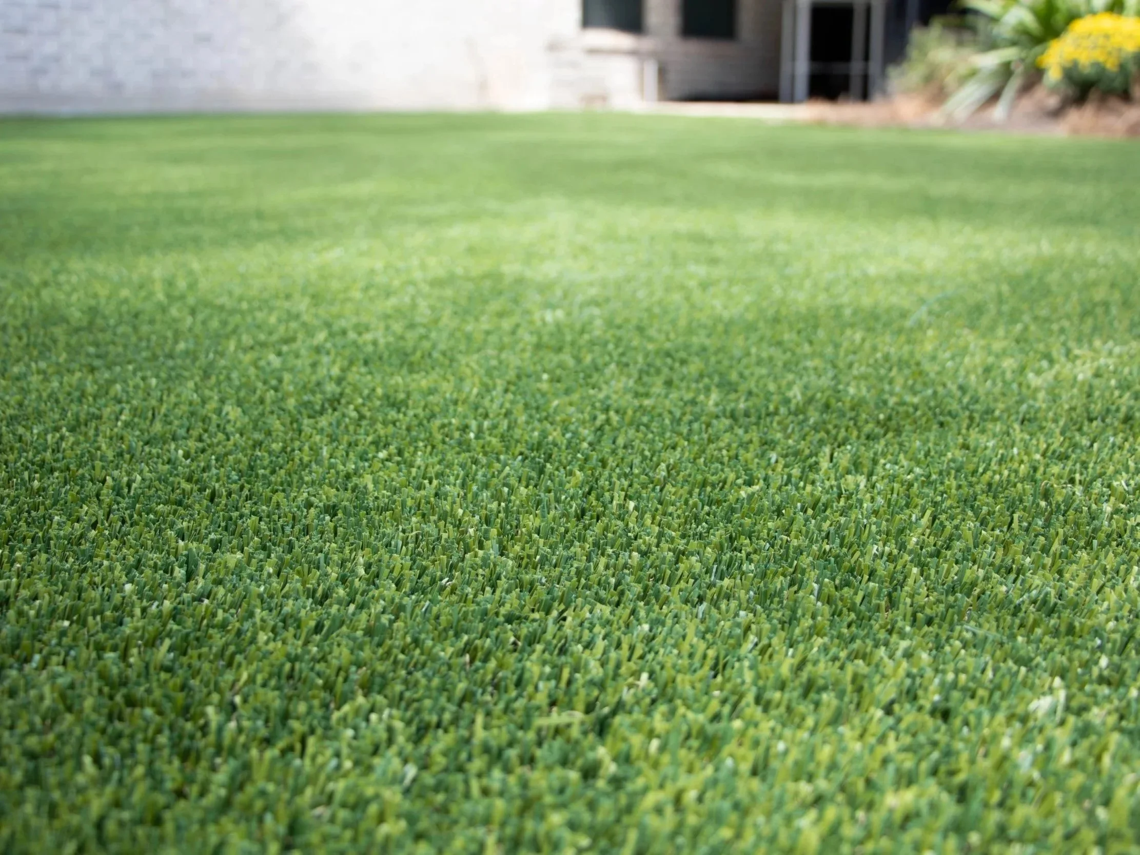 from the ground view of artificial turf