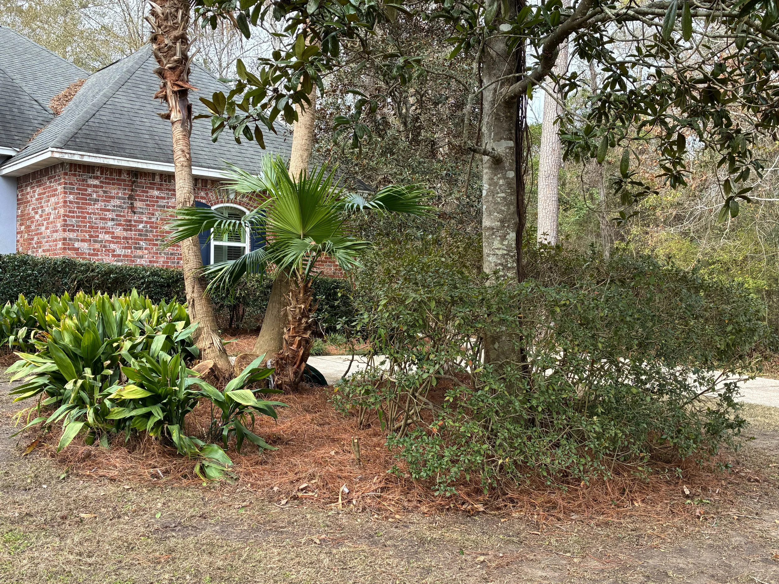 lawncleanup16.jpg