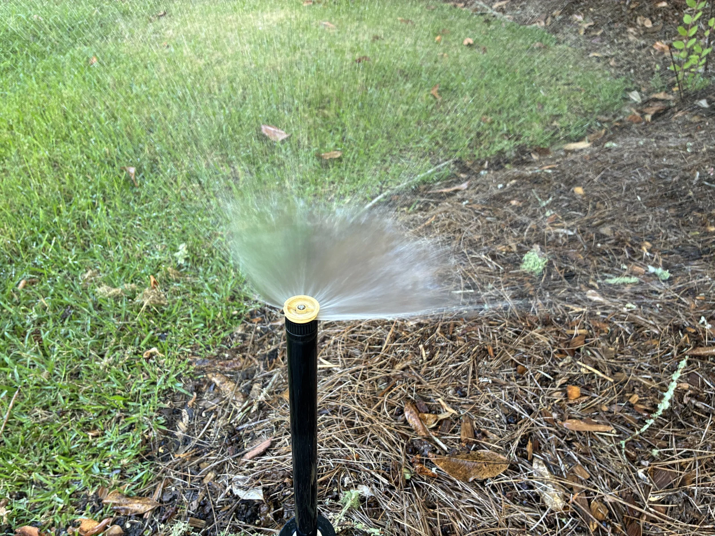 pop up sprinkler on