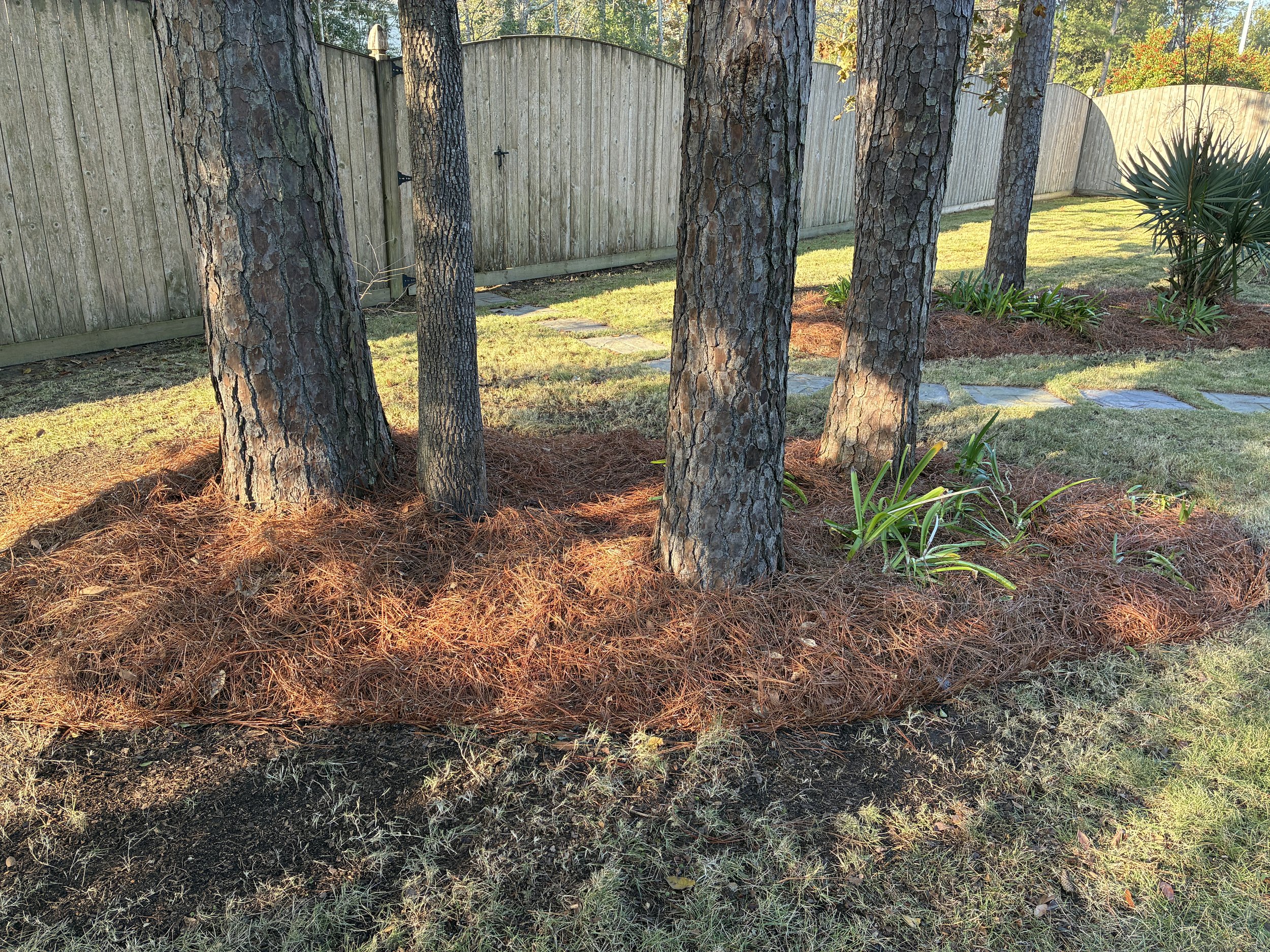 spring cleanup of garden bed, new pinestraw mulch, weeds removed, trimmed bushes and plants