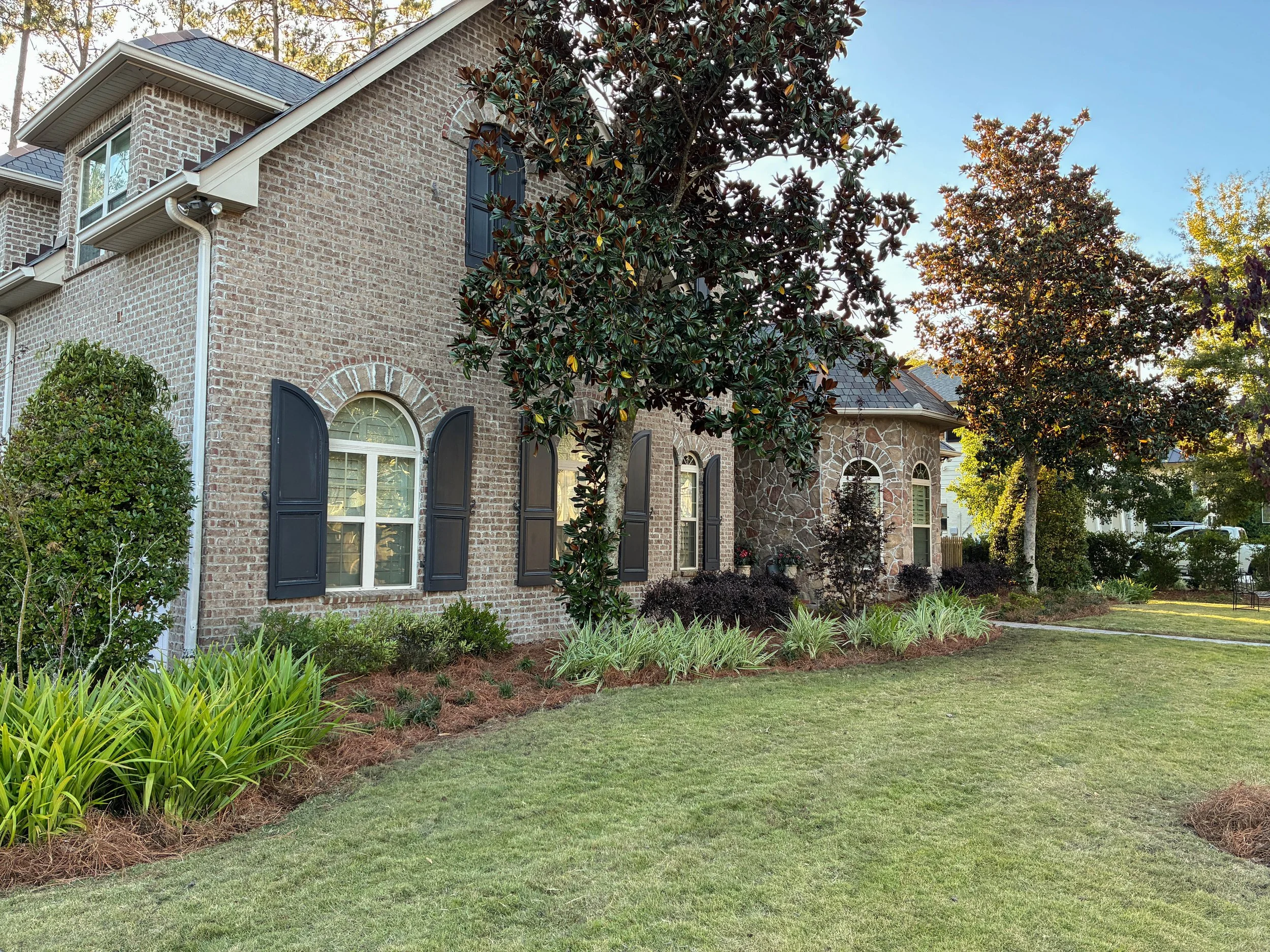 front right side of house big, long garden bed