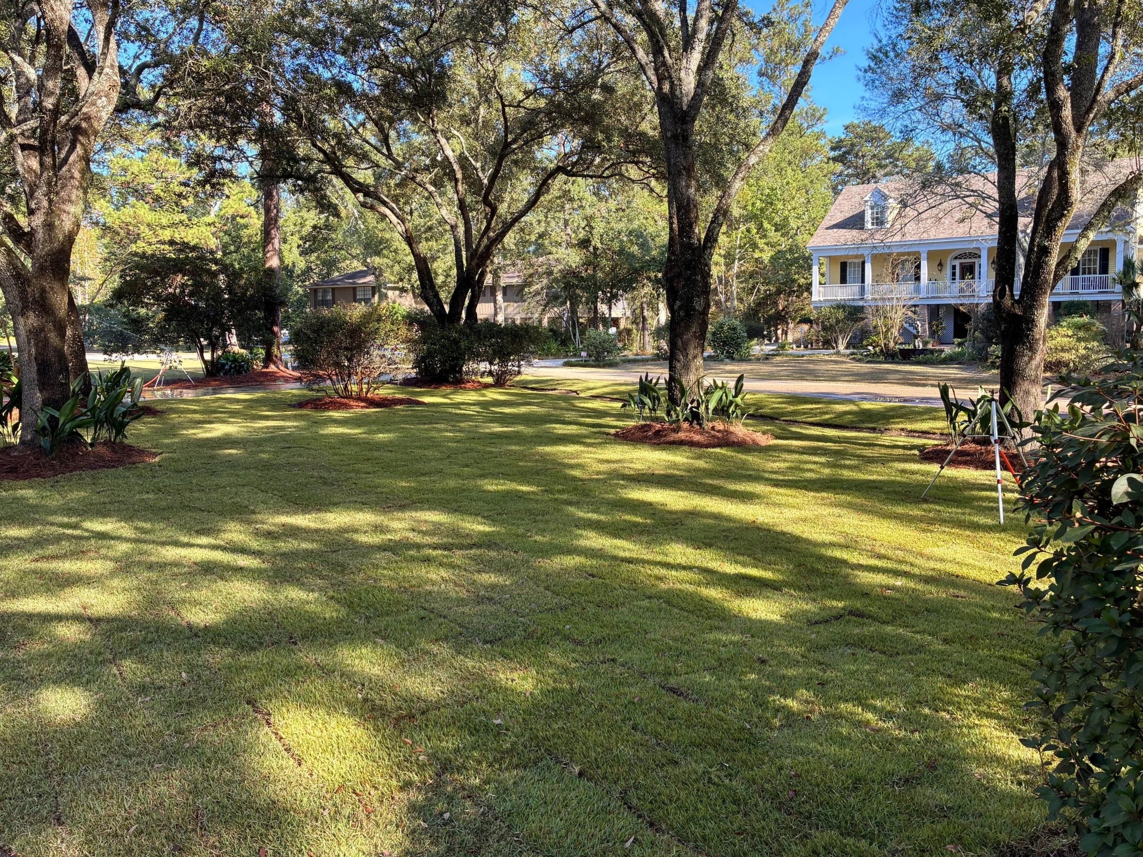 nice, green sod installed over an originally drab and sandy area