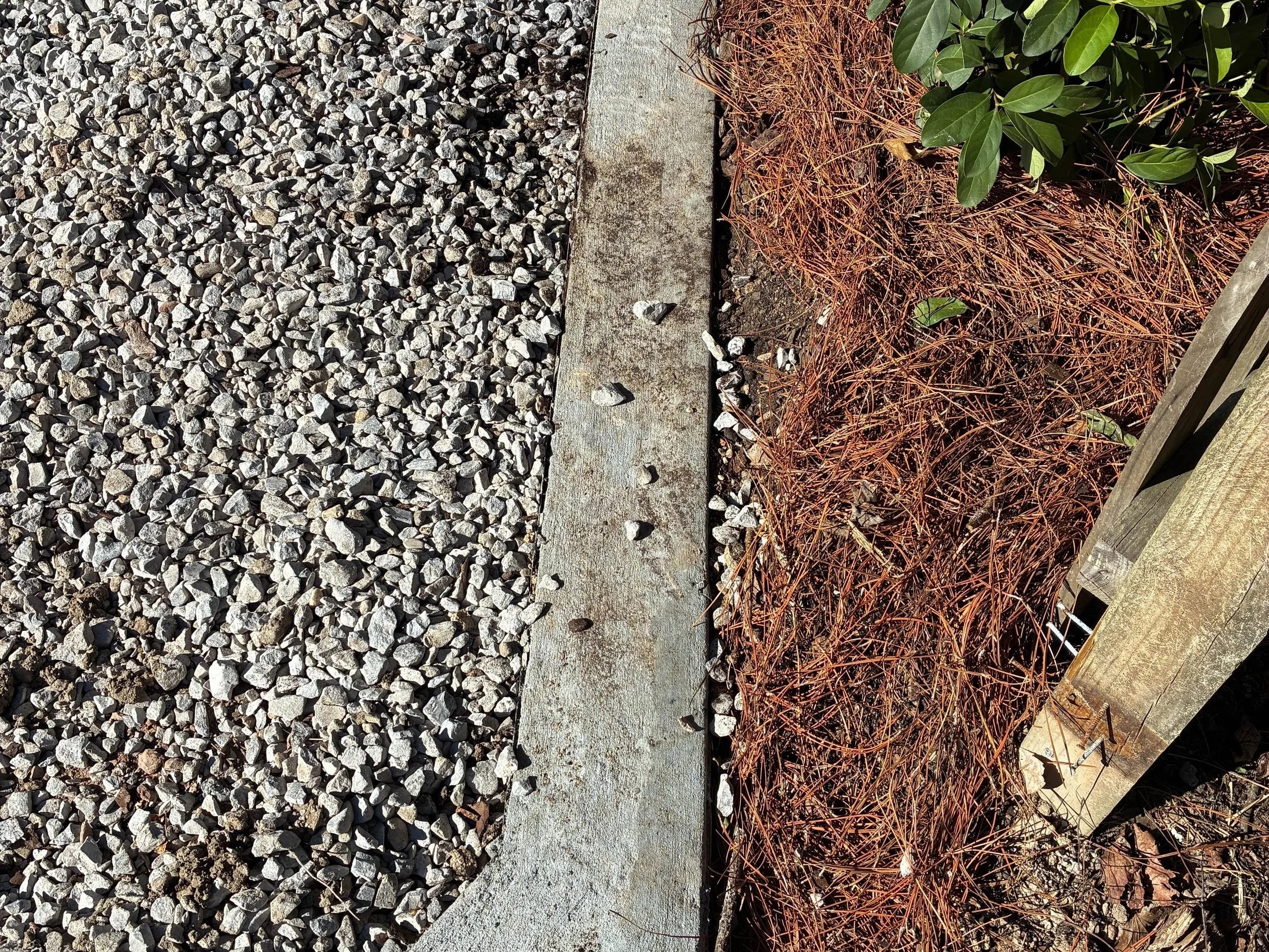 concrete lining sides of driveway, straight line. rocks of driveway on one side, garden bed on other