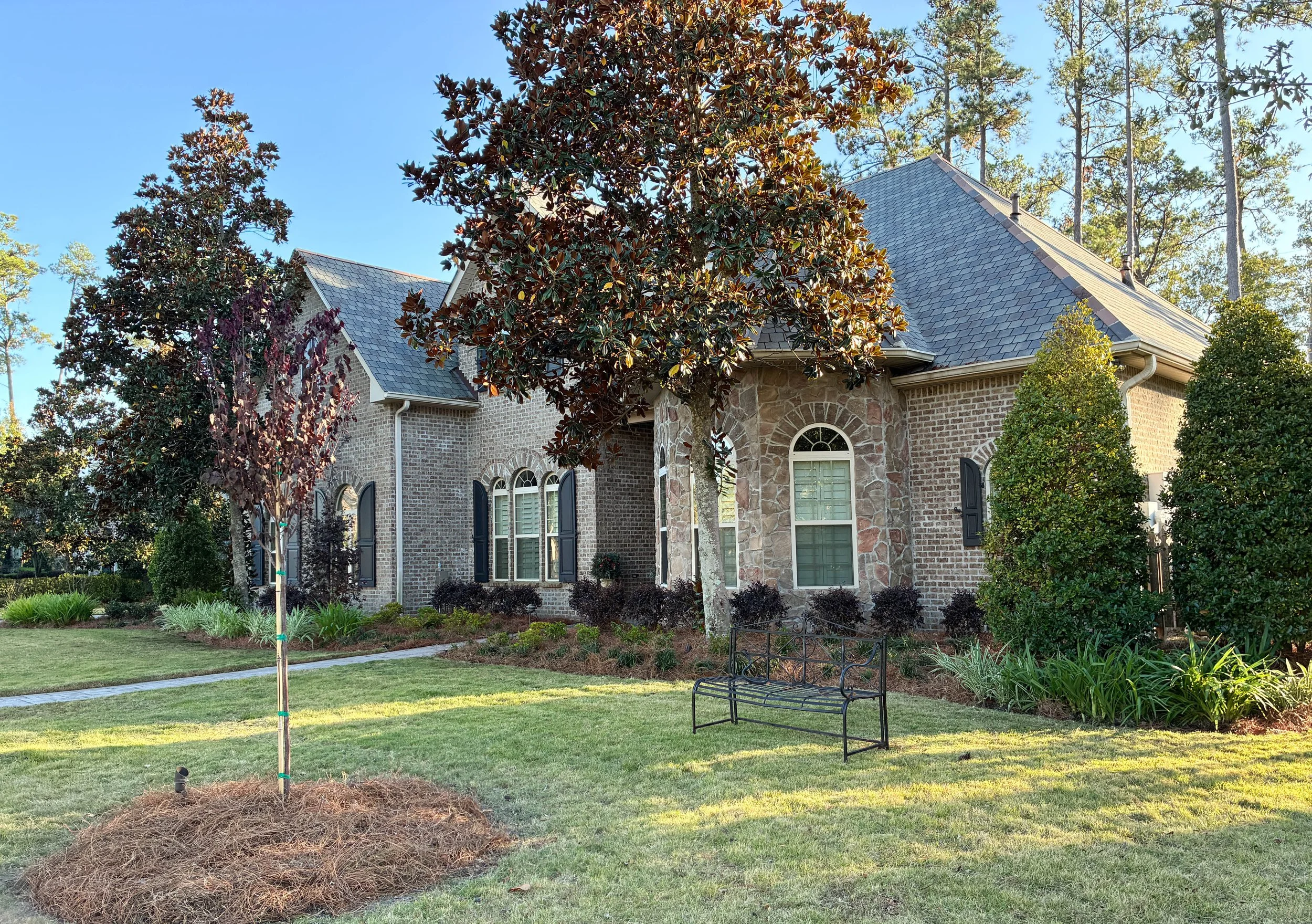 left side of  the house garden bed