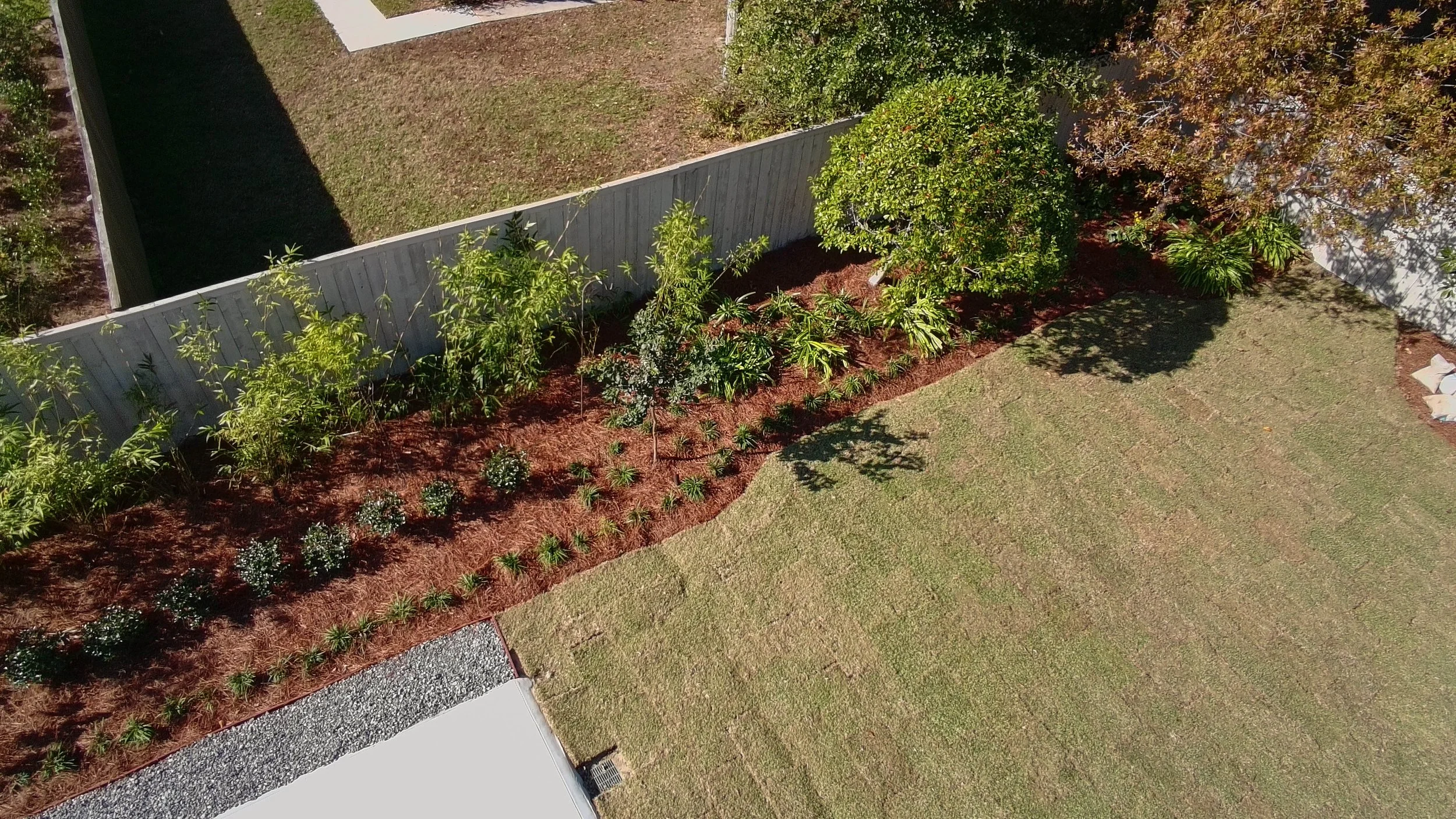 garden bed lining a fence. long. bamboo, camellias, and liriope