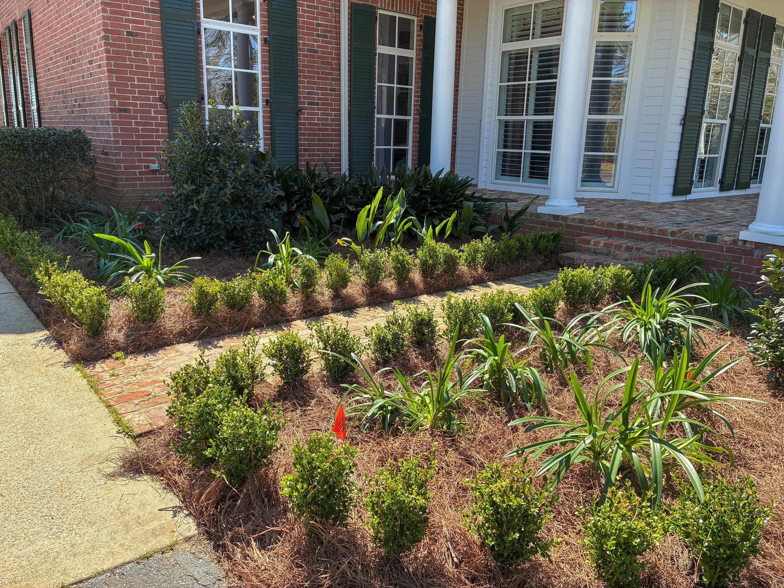 two garden beds split by a path in the middle. boxwoods, agapanthus, and cast irons