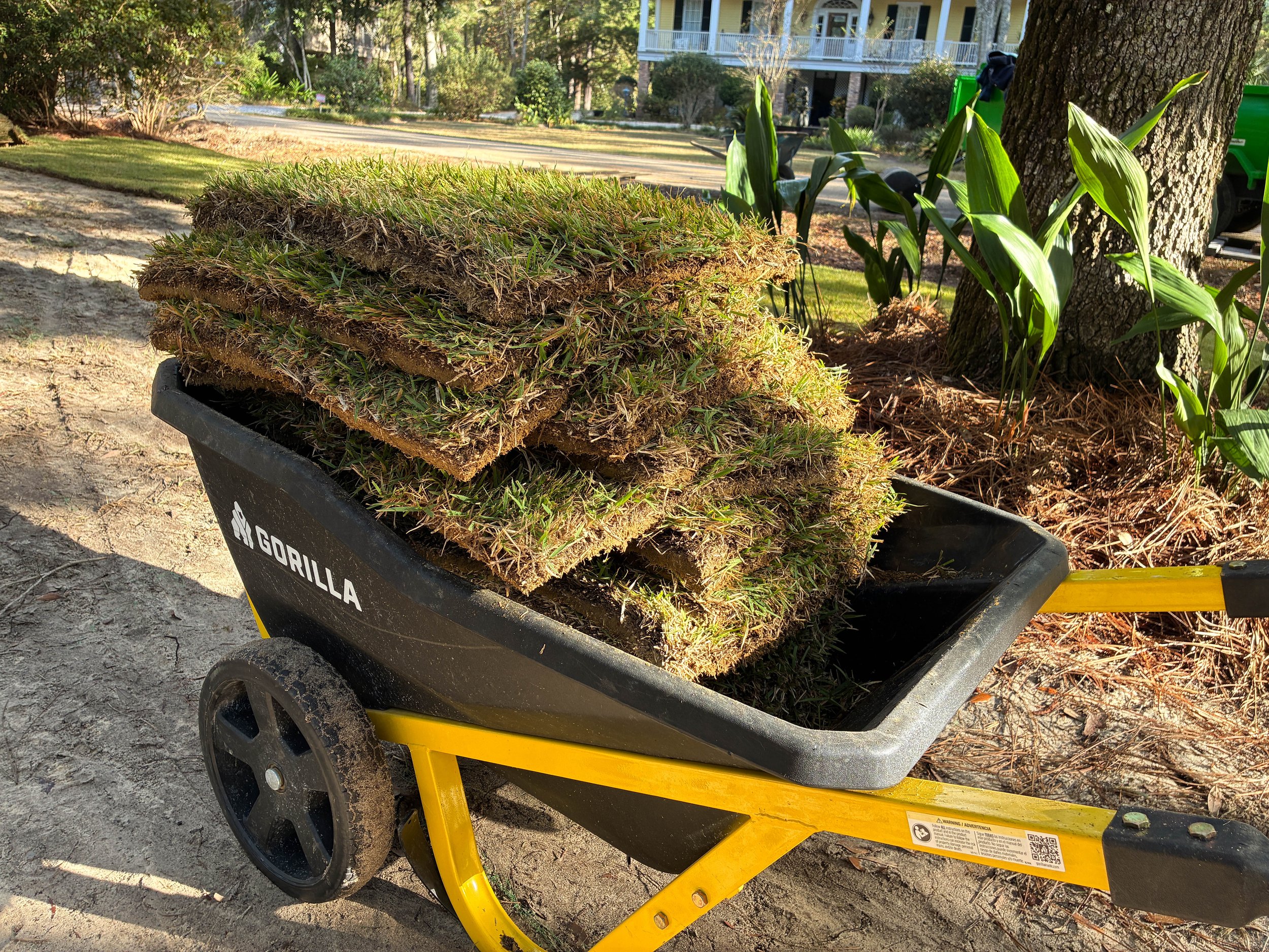 pieces of sod in a wheelbarrow