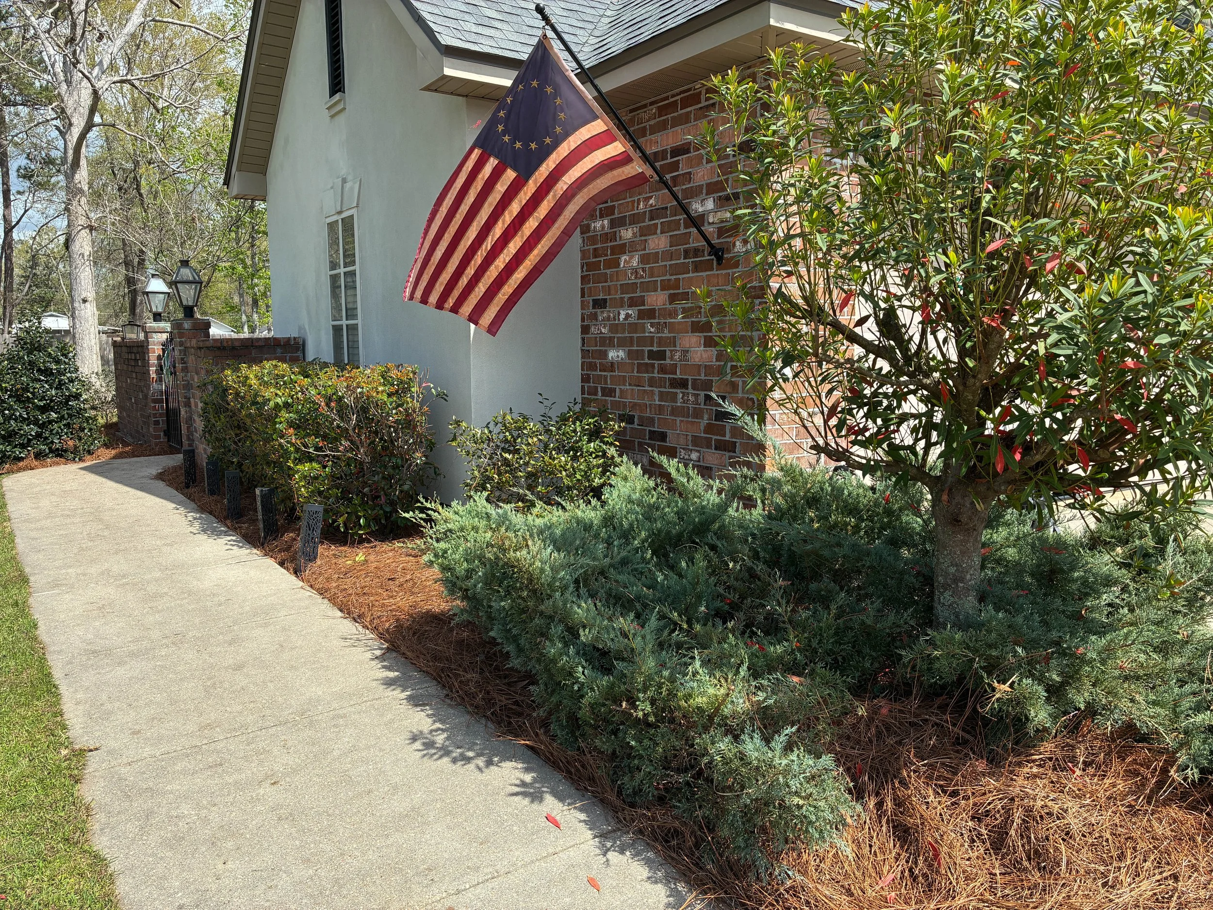 front of house garden bed. trimmed the bushes and added pinestraw
