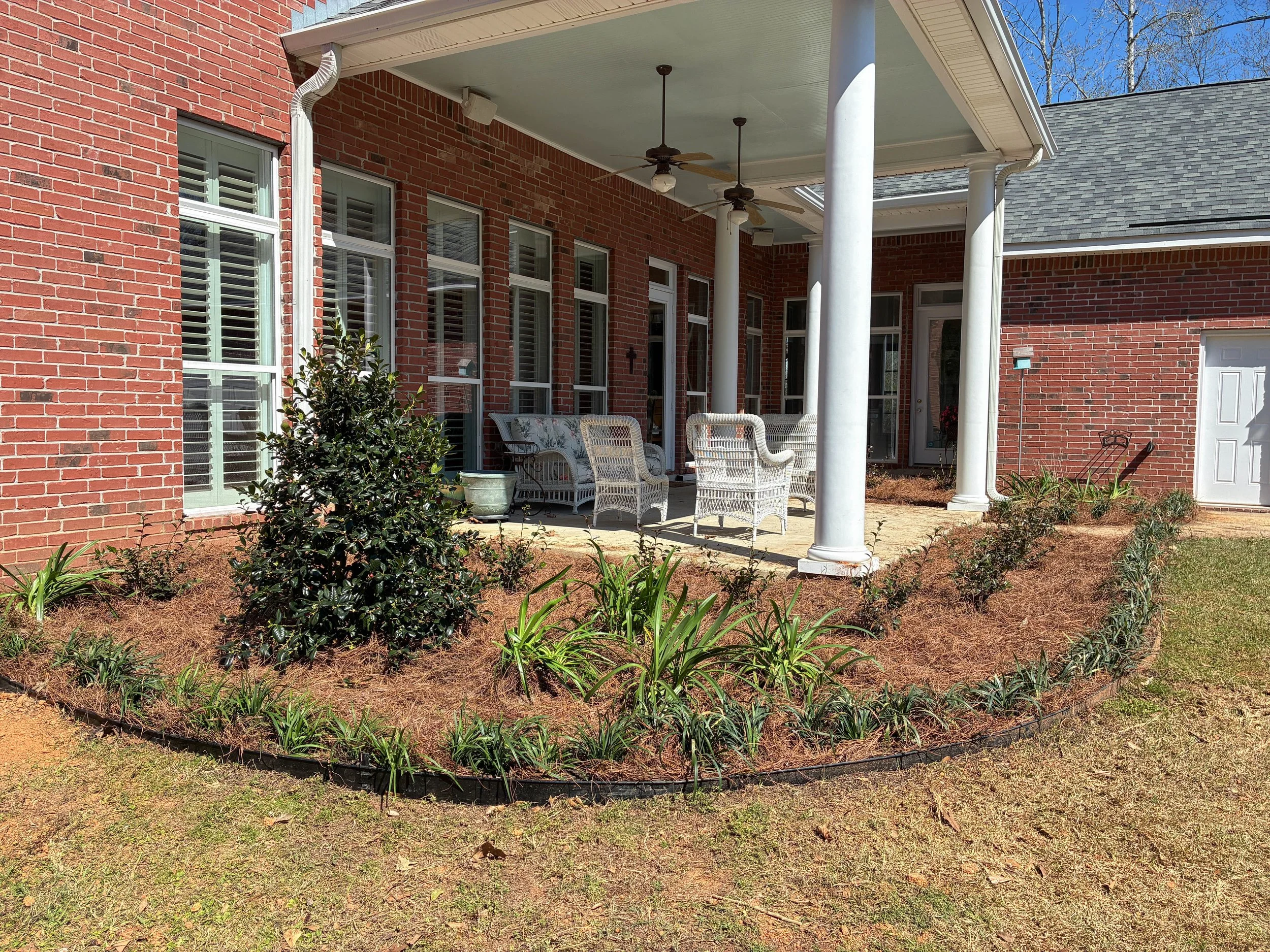 corner garden bed with holly, liriope, and agapanthus