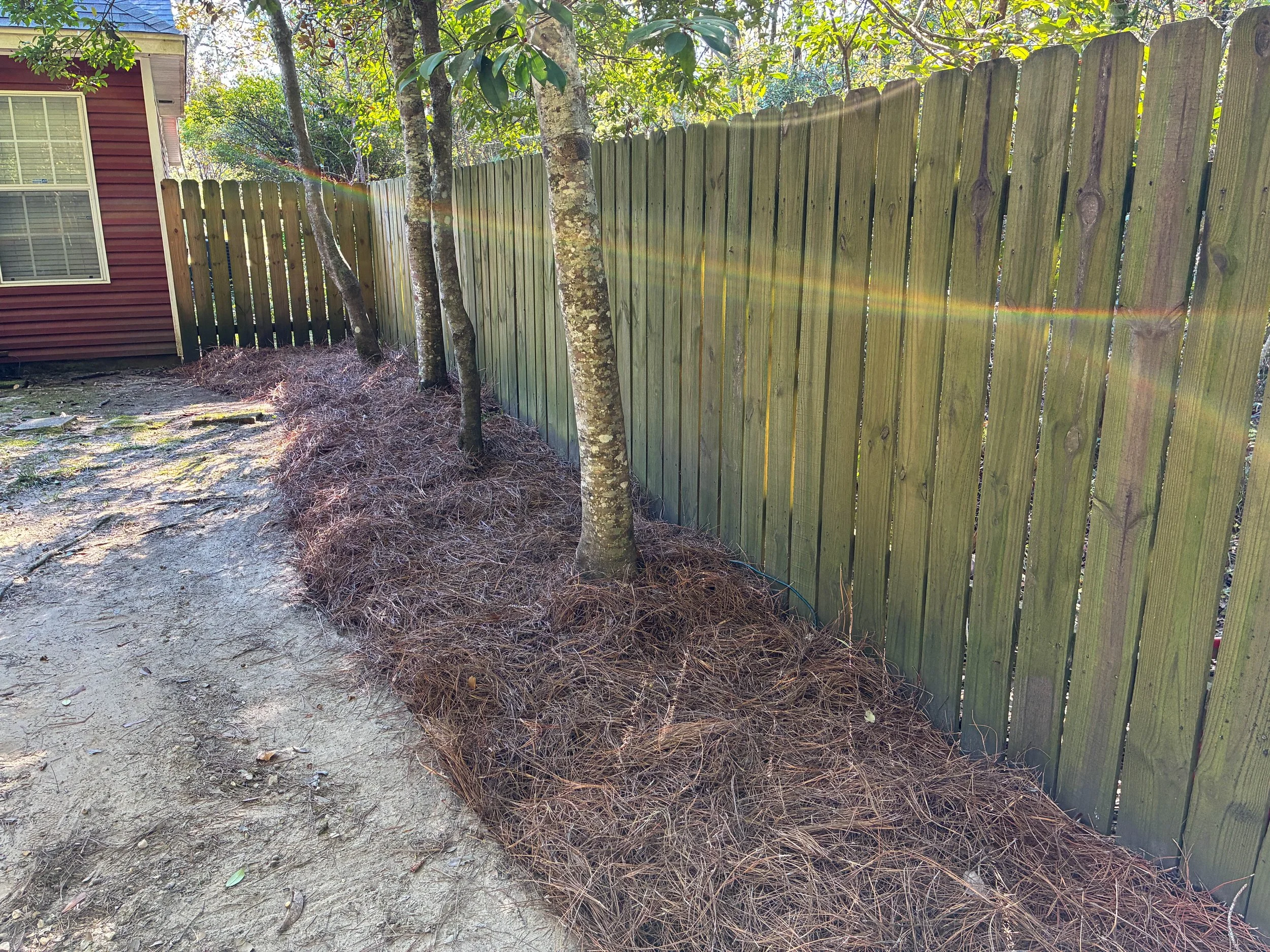 lawncleanup9.jpg