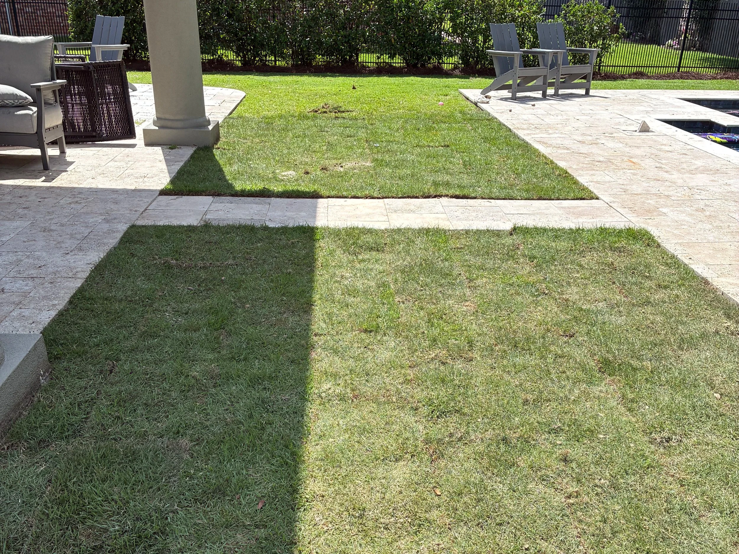 new sod