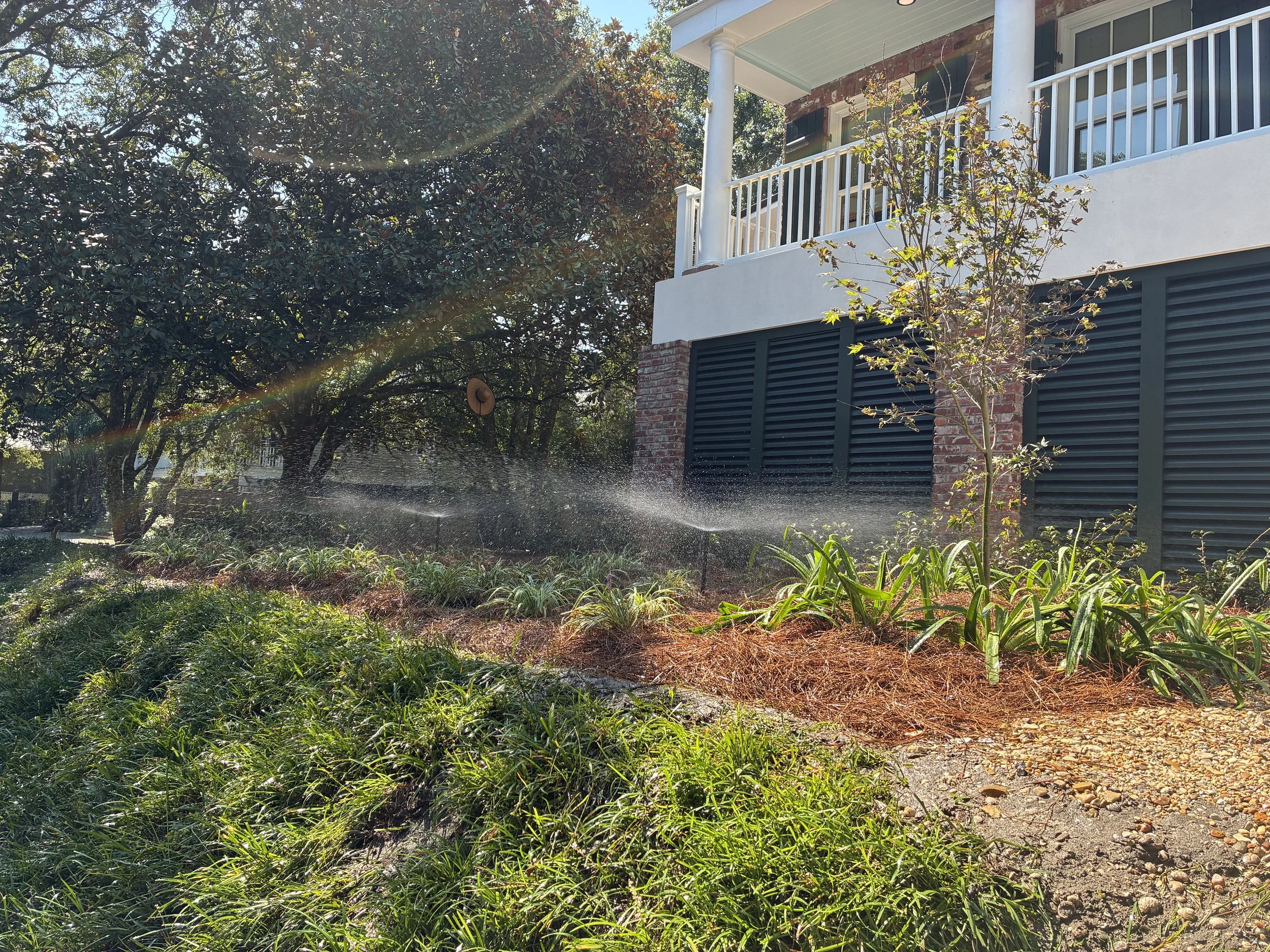 image of installed sprinklers on over a plant install. the light and water create two strips of rainbows