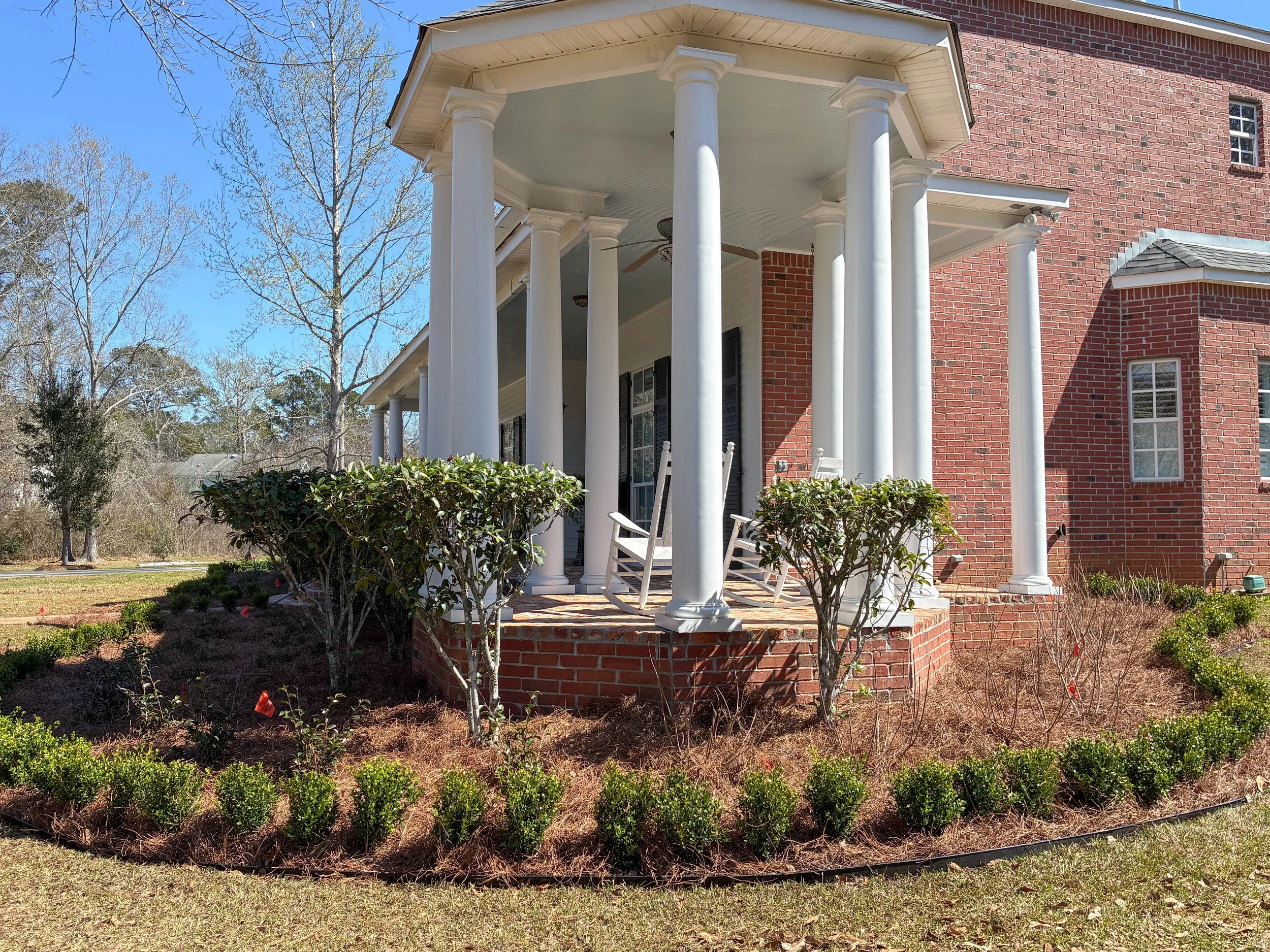 sid eof house garden bed. this is a big bed that reaches around the house front the front. continues the boxwoods
