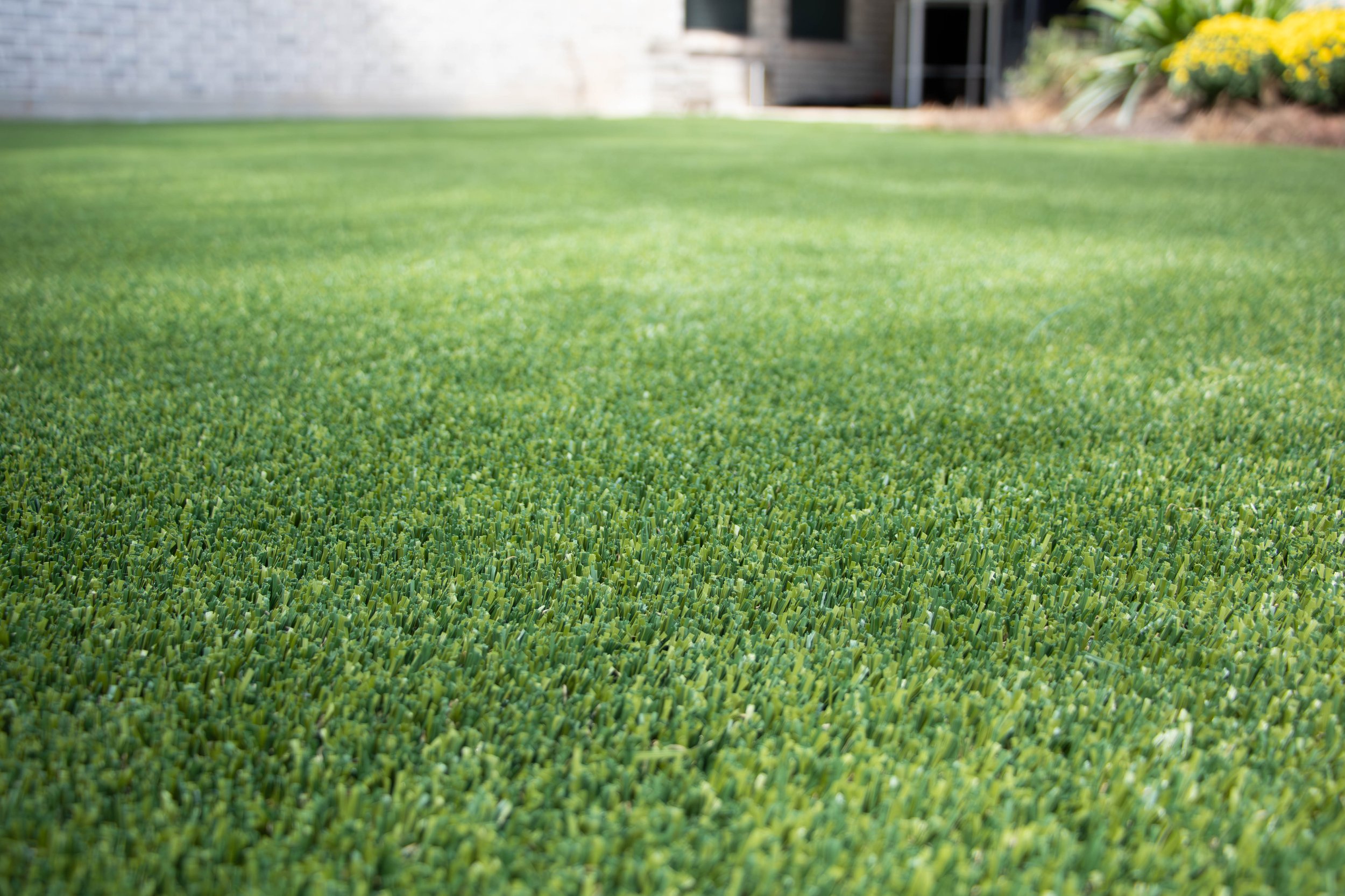 Artificial Turf