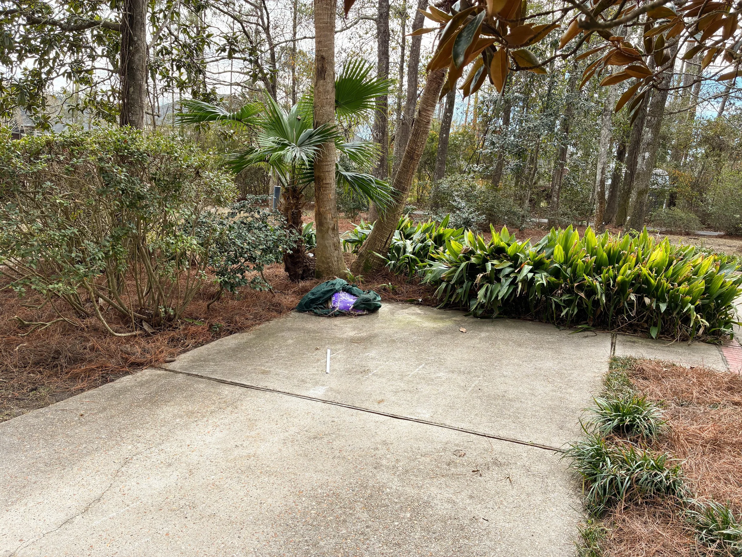 lawncleanup17.jpg