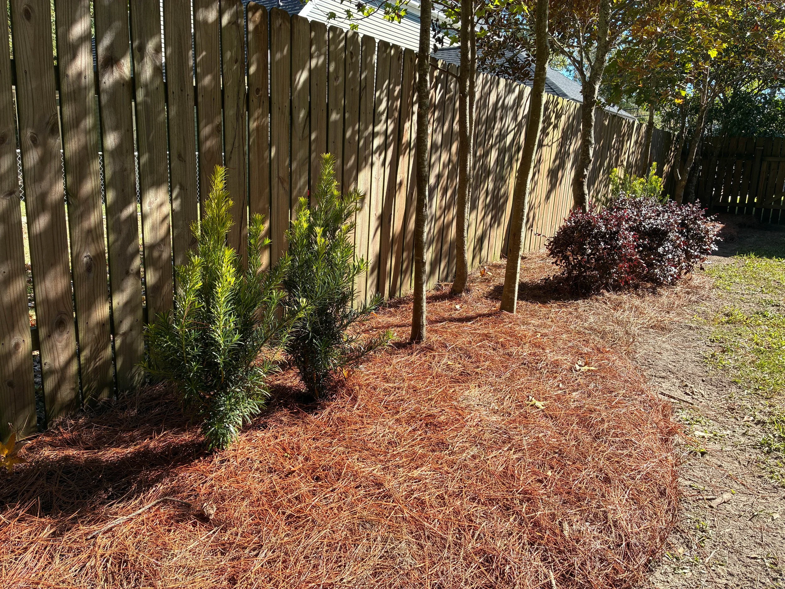 lawncleanup12.jpg