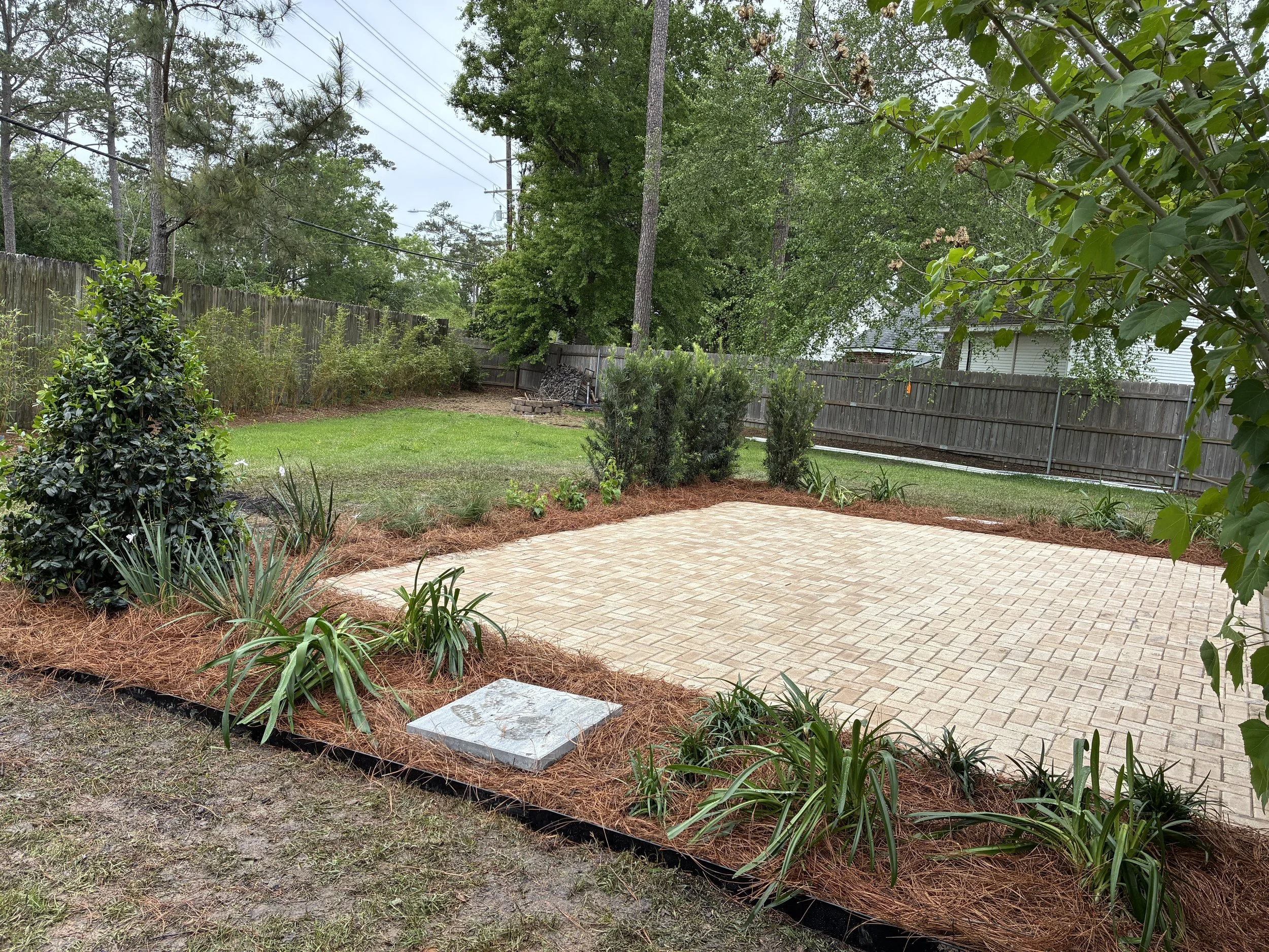 paver patio surround with plants and pine straw