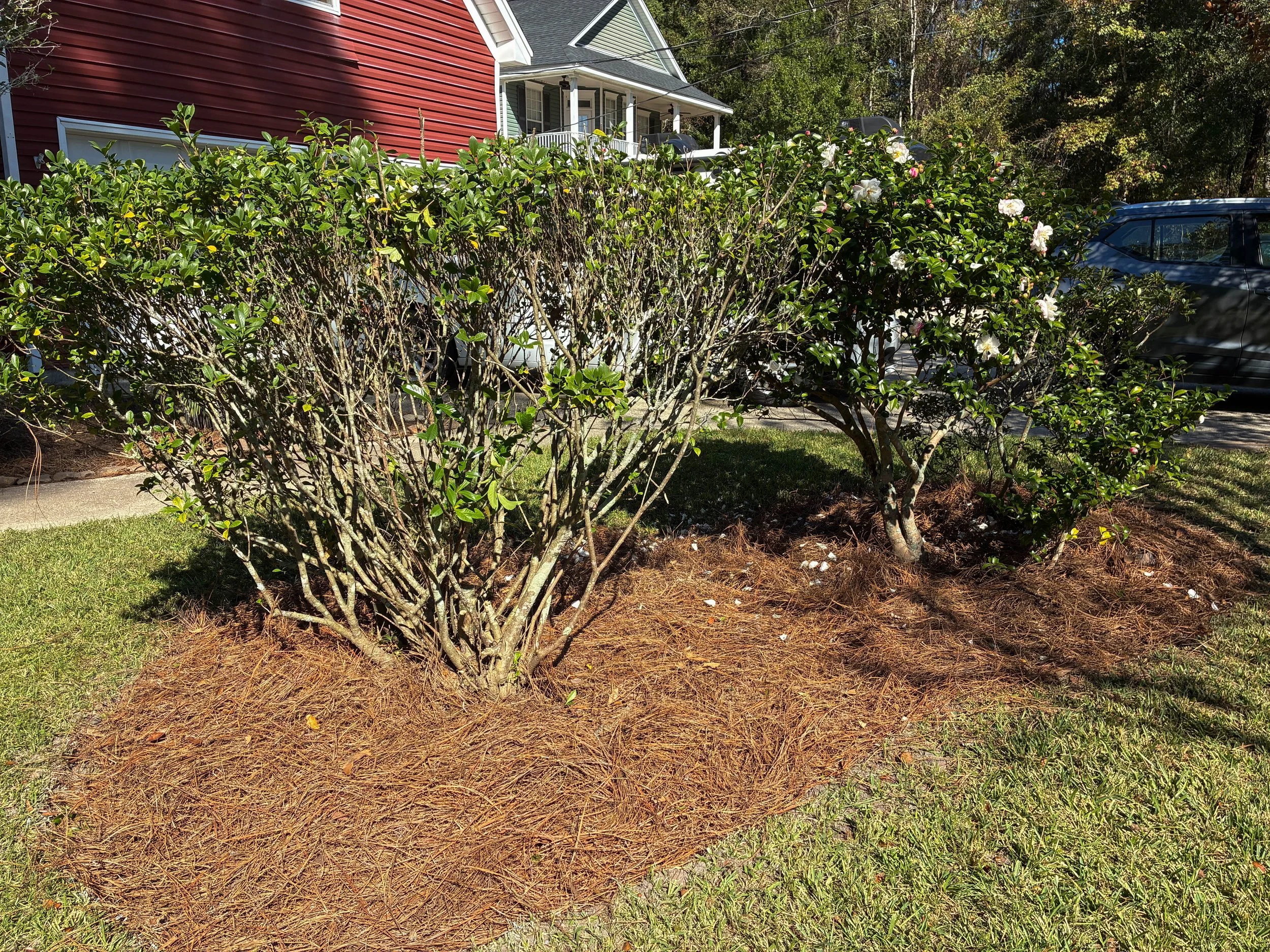 lawncleanup7.jpg