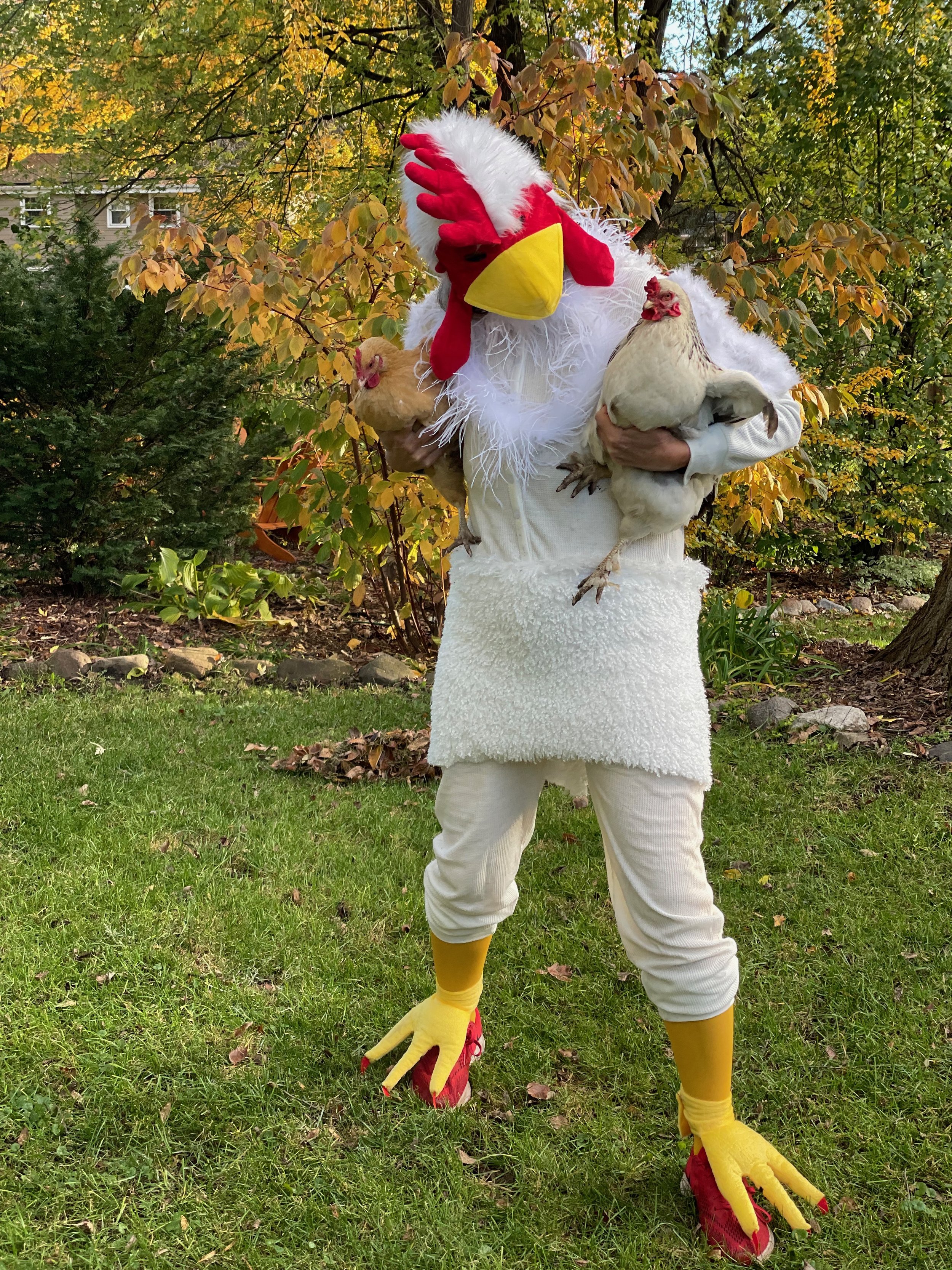 Halloween - Nugget & Maude.jpeg