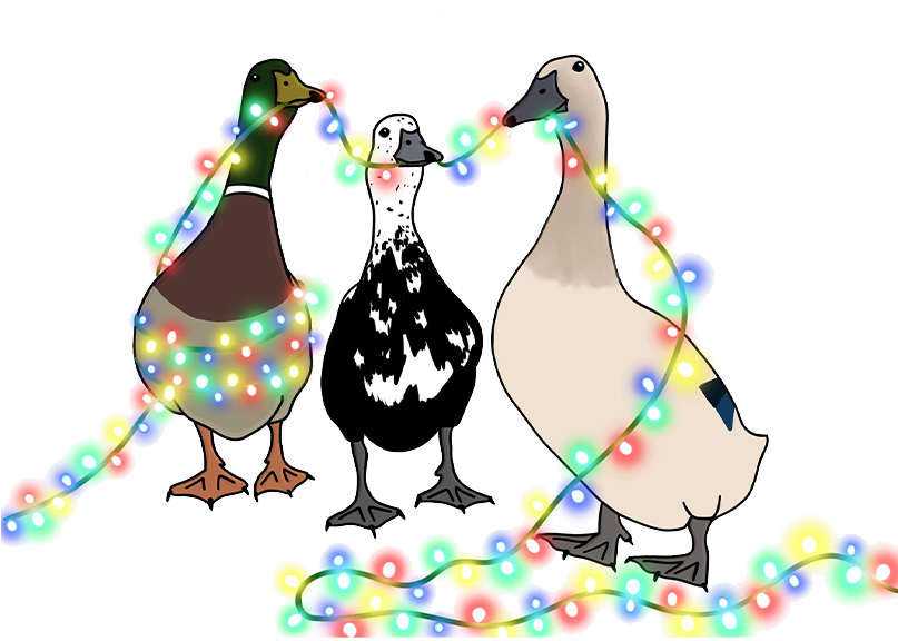 Christmas Lights.png